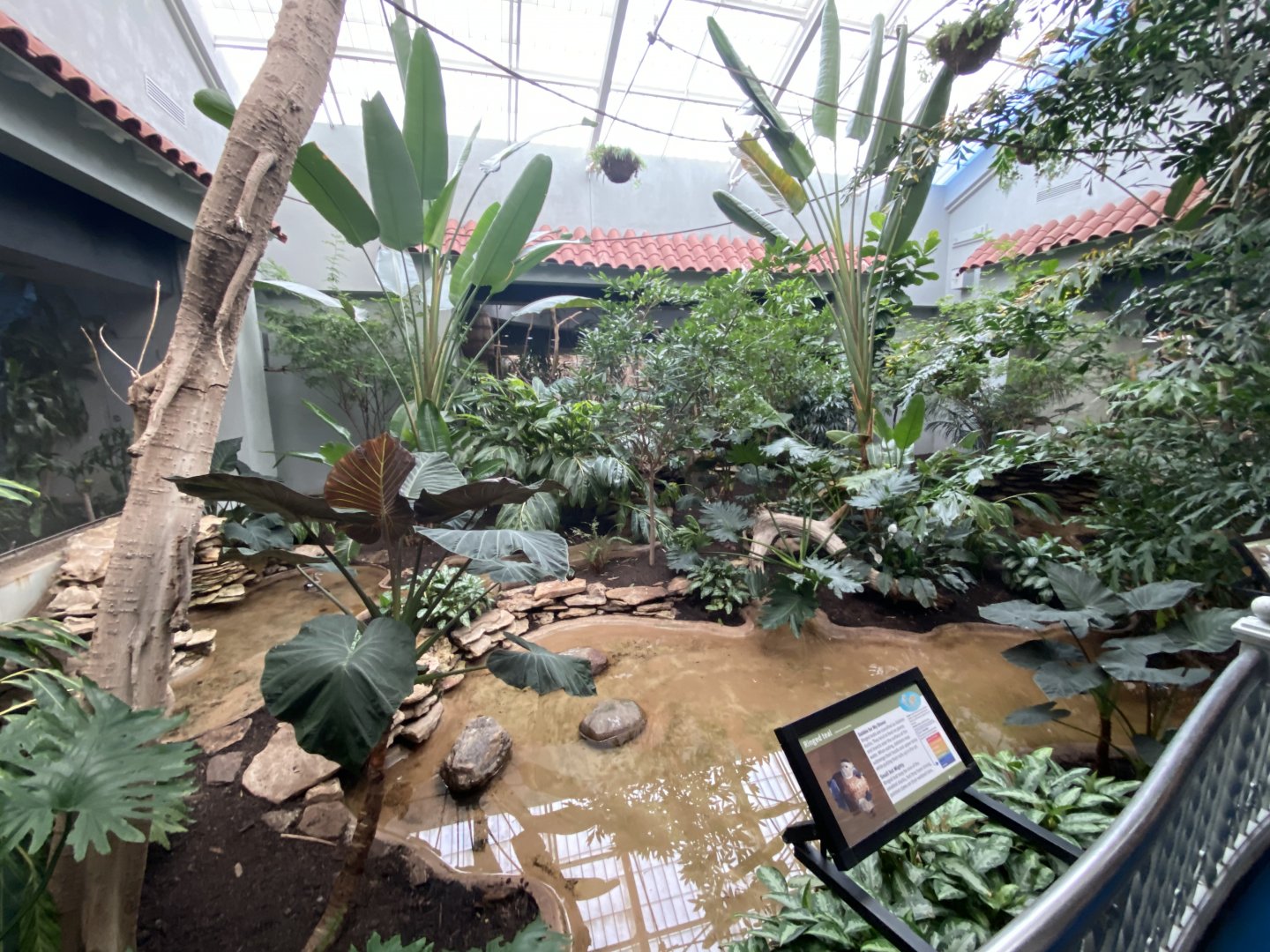 Oct. 2021 - Bird House - Center Exhibit (5 Species)