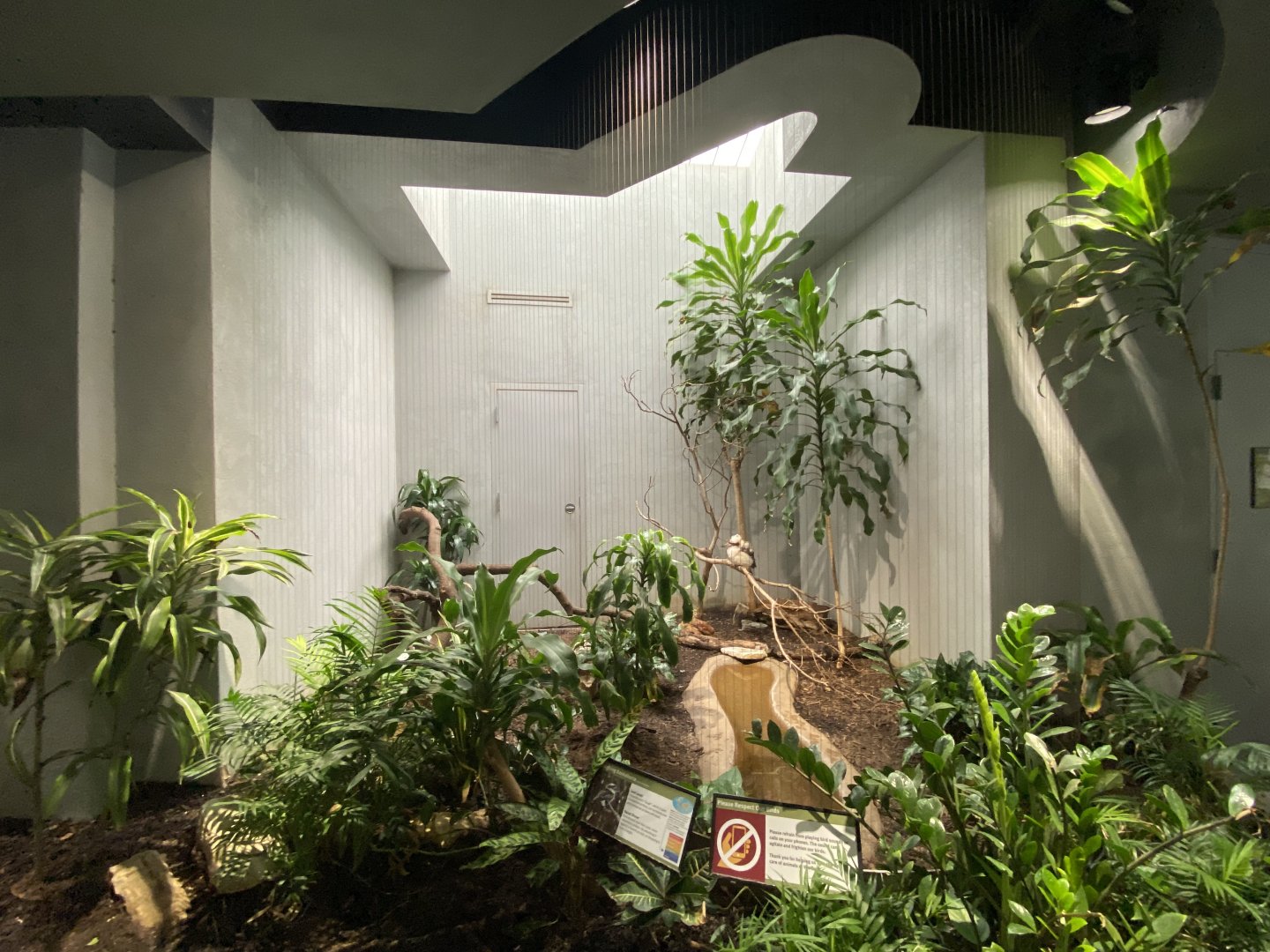 Oct. 2021 - Bird House - Kookaburra Exhibit