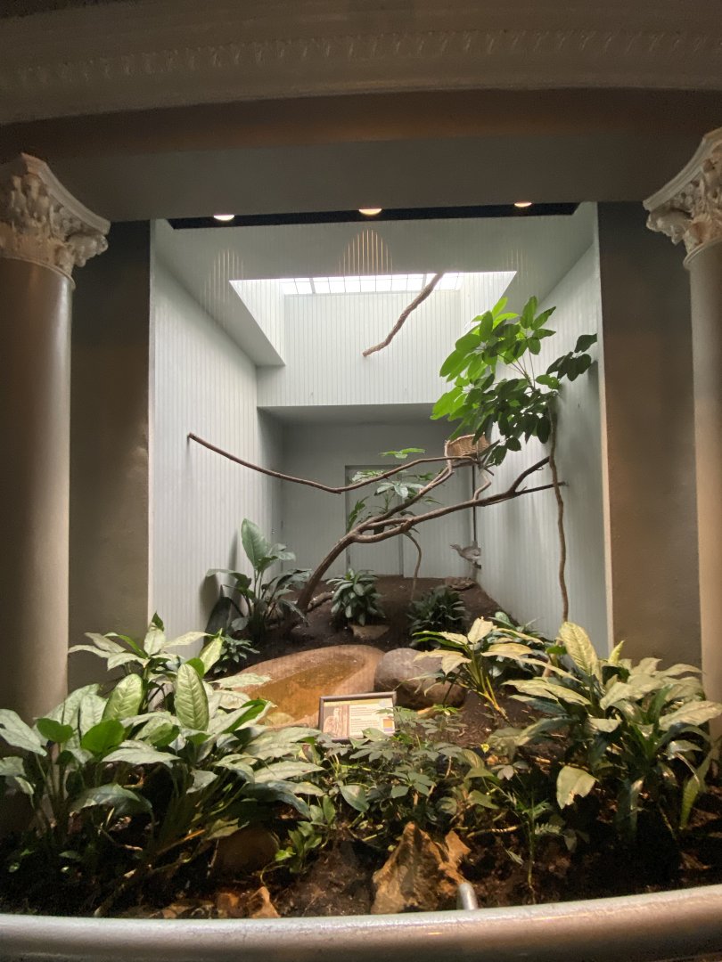 Oct. 2021 - Bird House - Red-legged Seriema Exhibit