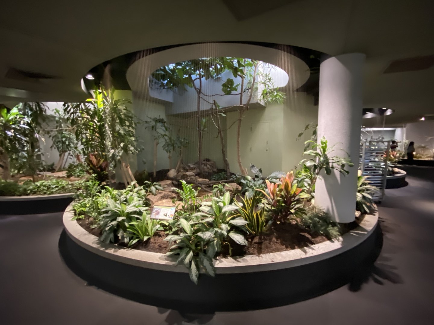 Oct. 2021 - Bird House - Sunbittern Exhibit