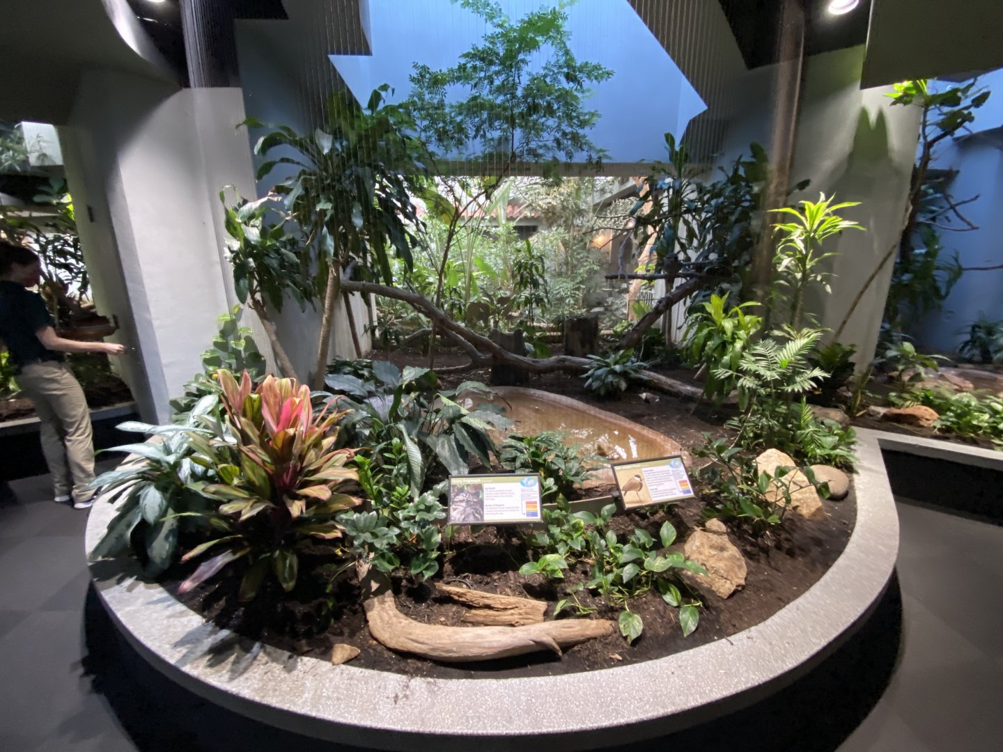 Oct. 2021 - Bird House - Tawny Frogmouth/Spur-winged Plover Exhibit