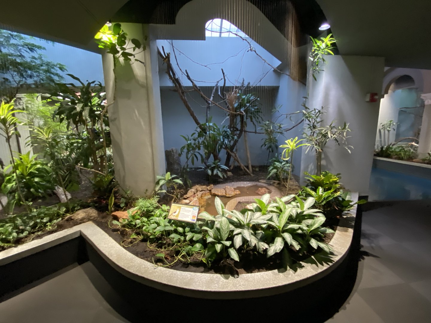 Oct. 2021 - Bird House - White-headed Buffalo Weaver Exhibit