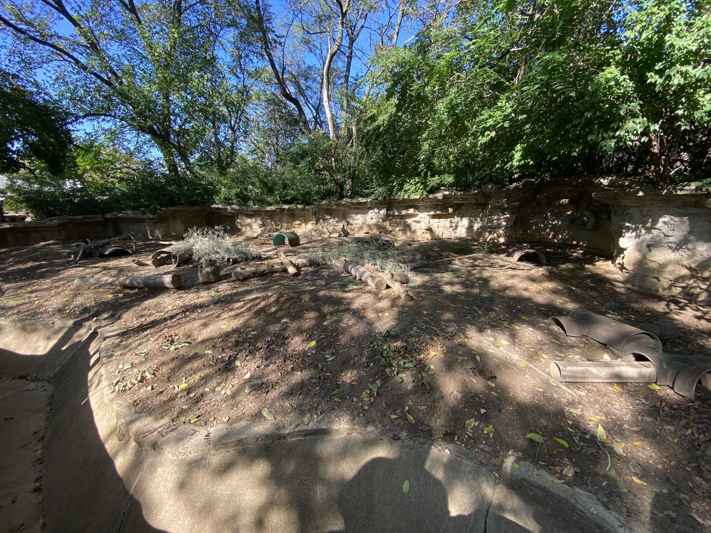 Oct. 2021 - Black-tailed Prairie Dog Exhibit