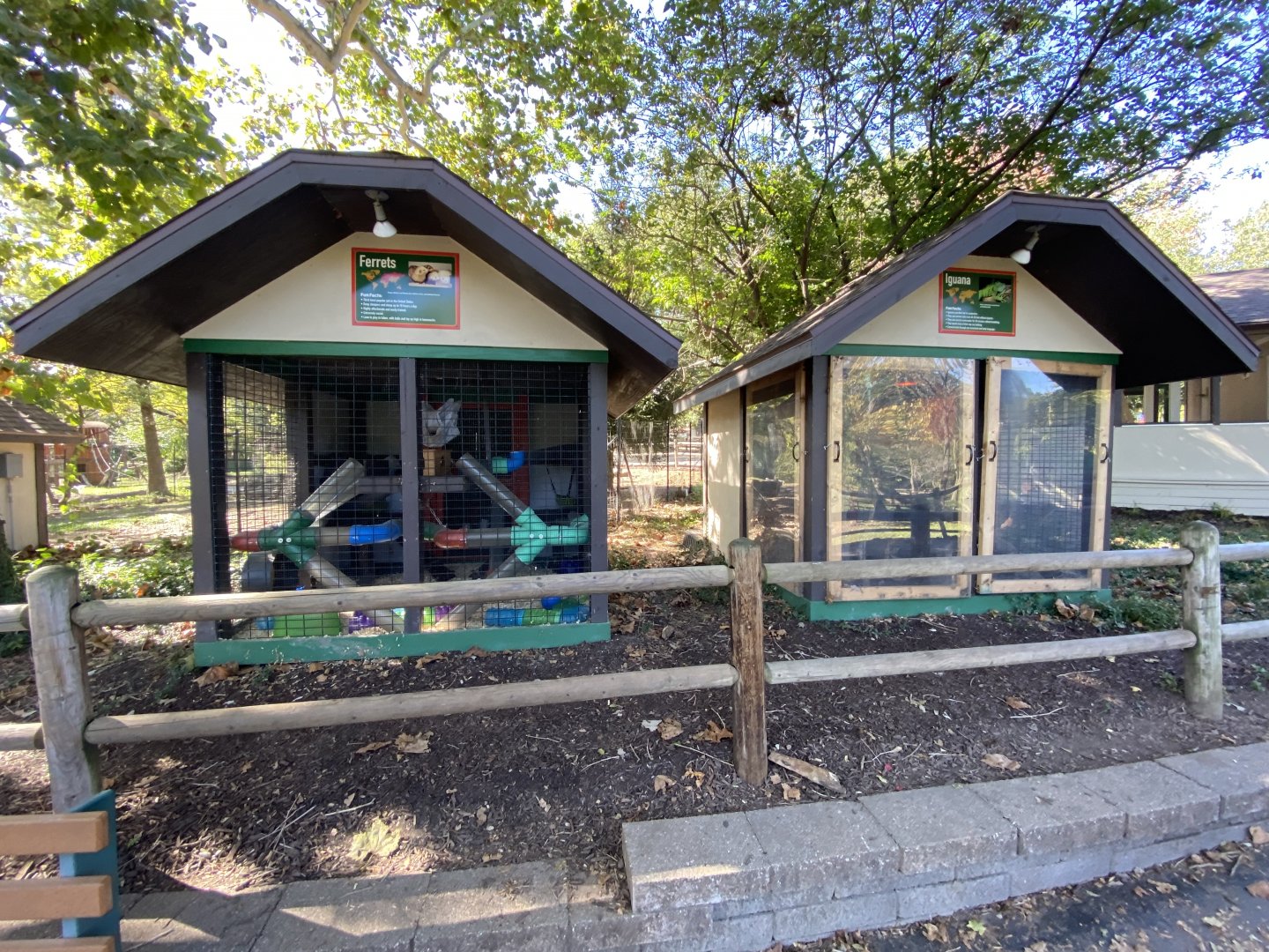 Oct. 2021 - Ferret + Iguana Exhibits