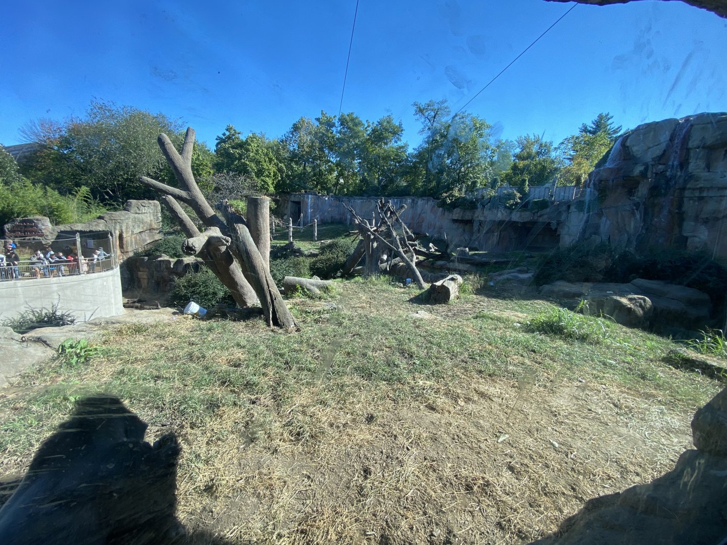 Oct. 2021 - Fragile Forest - Gorilla Exhibit