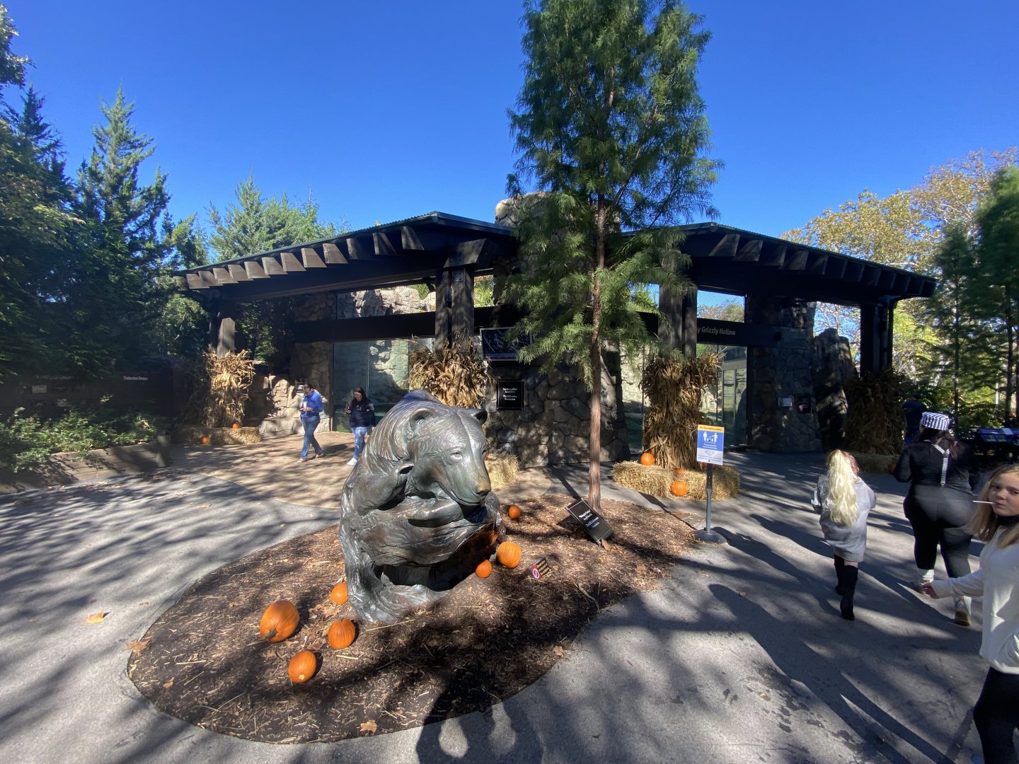 Oct. 2021 - Grizzly Ridge - Left Viewing