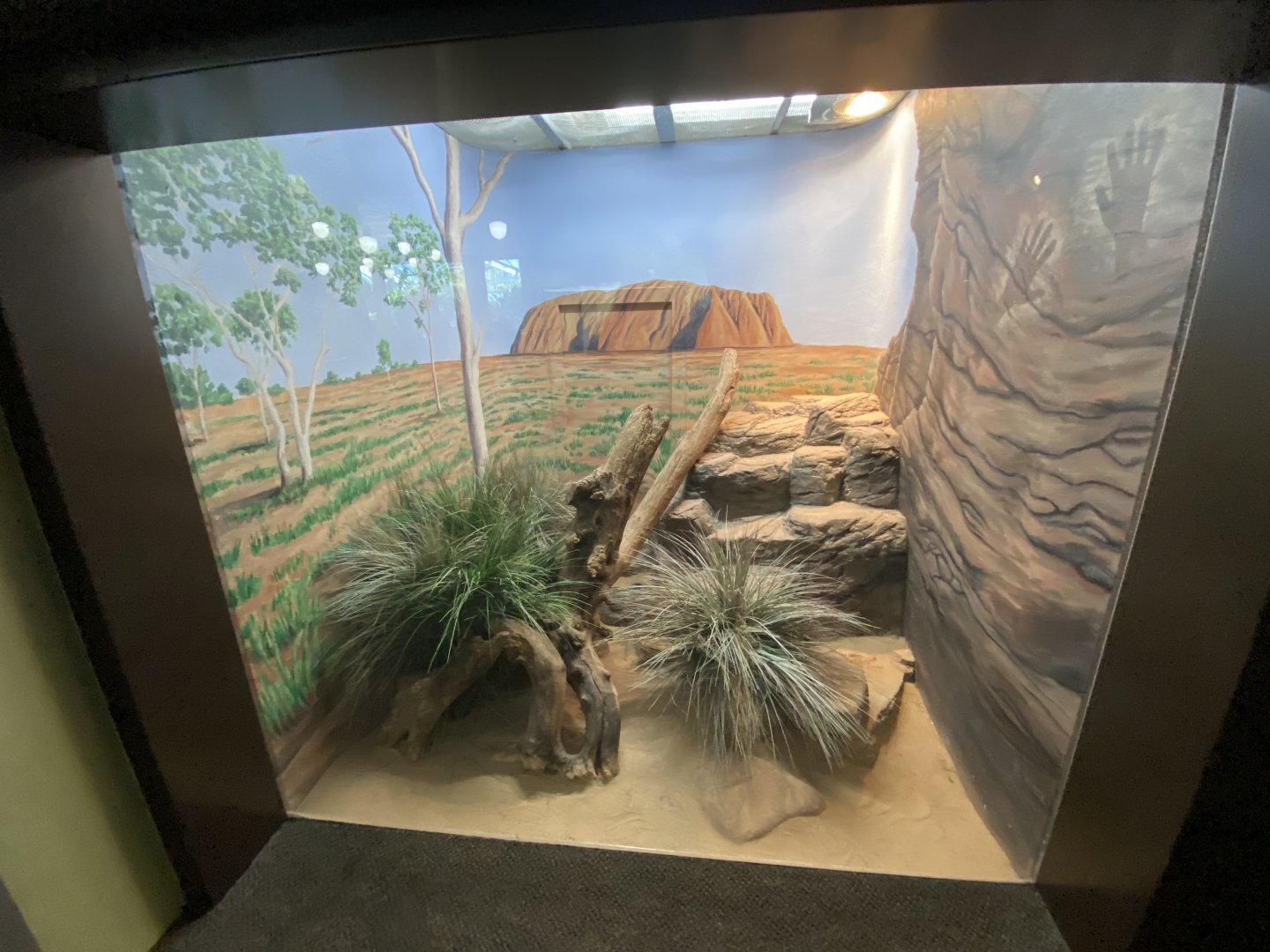 Oct. 2021 - Herpetarium - Black-headed Python Exhibit