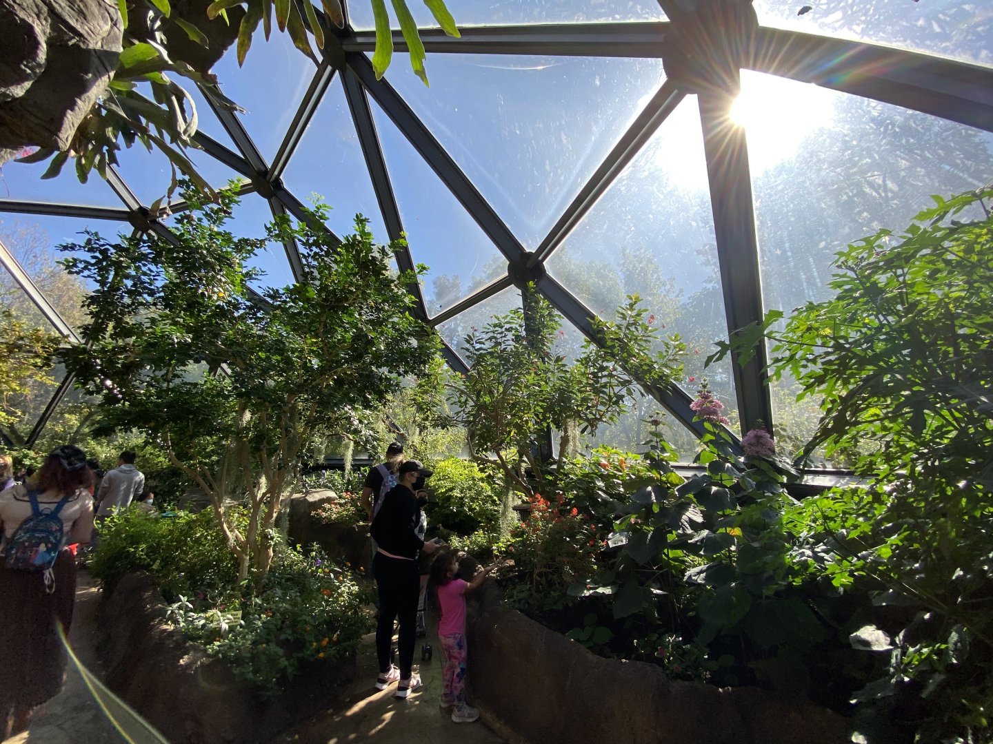 Oct. 2021 - Insectarium - Butterfly Wing