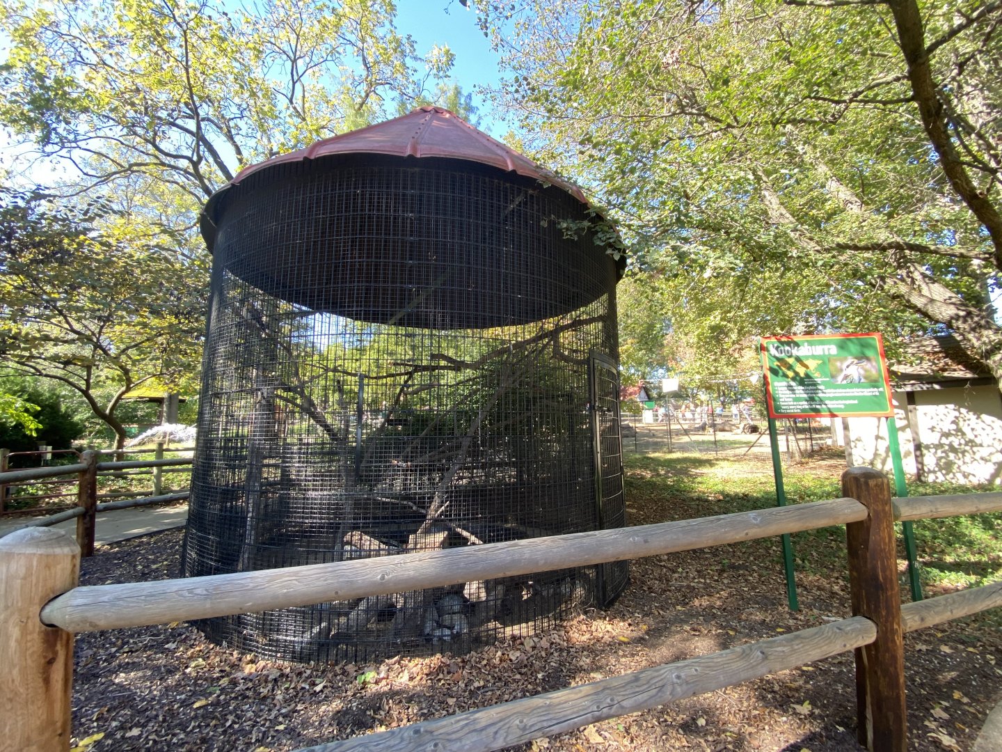 Oct. 2021 - Kookaburra Exhibit