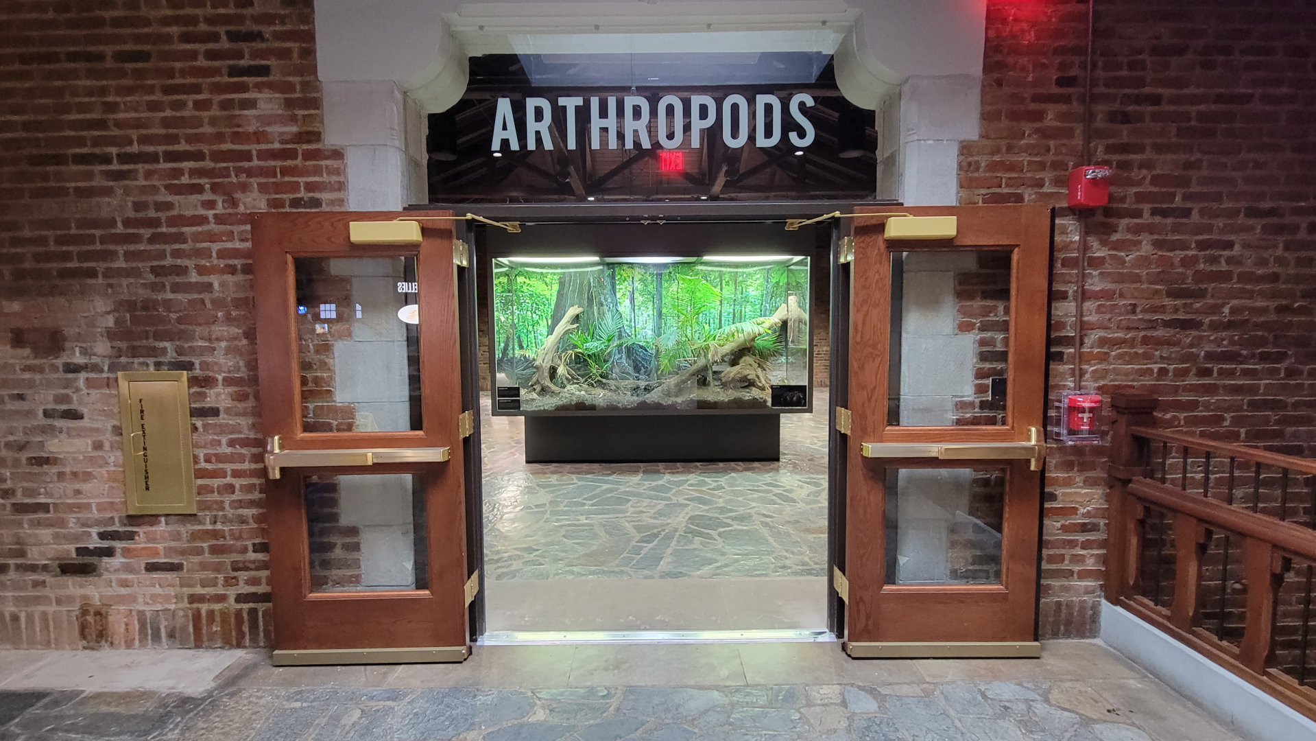 Oct. 2021 - Museum of Science - Arthropods Entrance