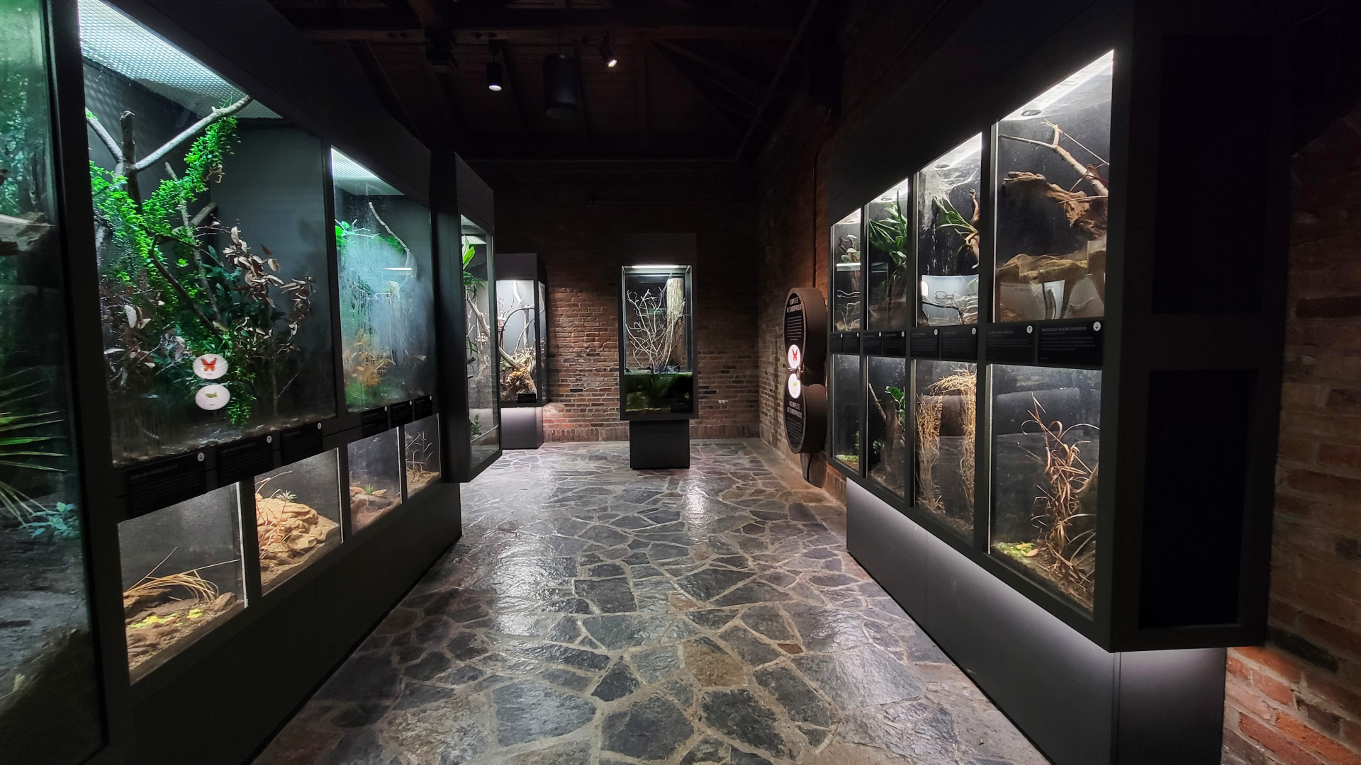 Oct. 2021 - Museum of Science - Arthropods - Right Side