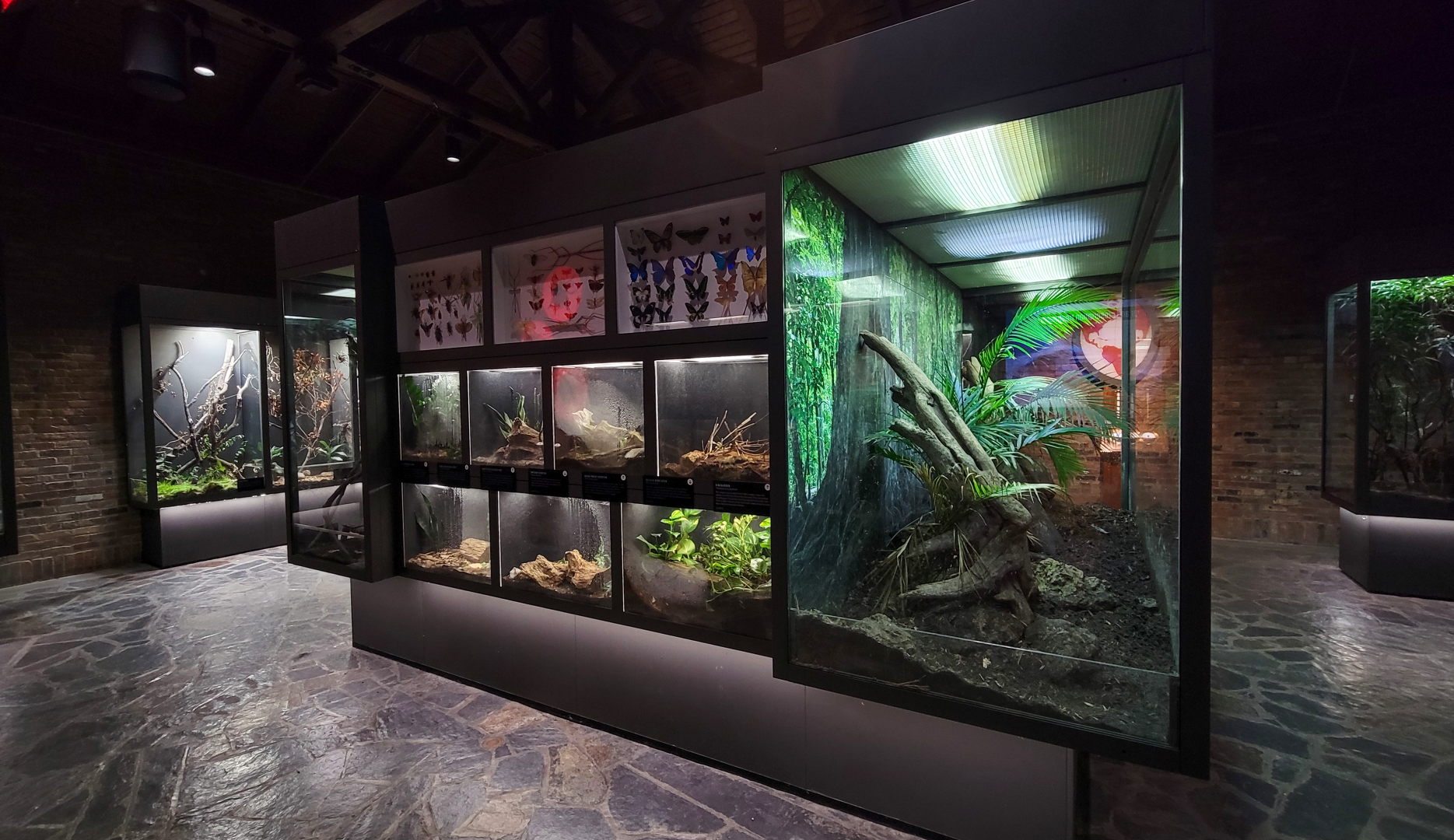 Oct. 2021 - Museum of Science - Arthropods - Scorpion, Millipede, Tarantula Exhibit