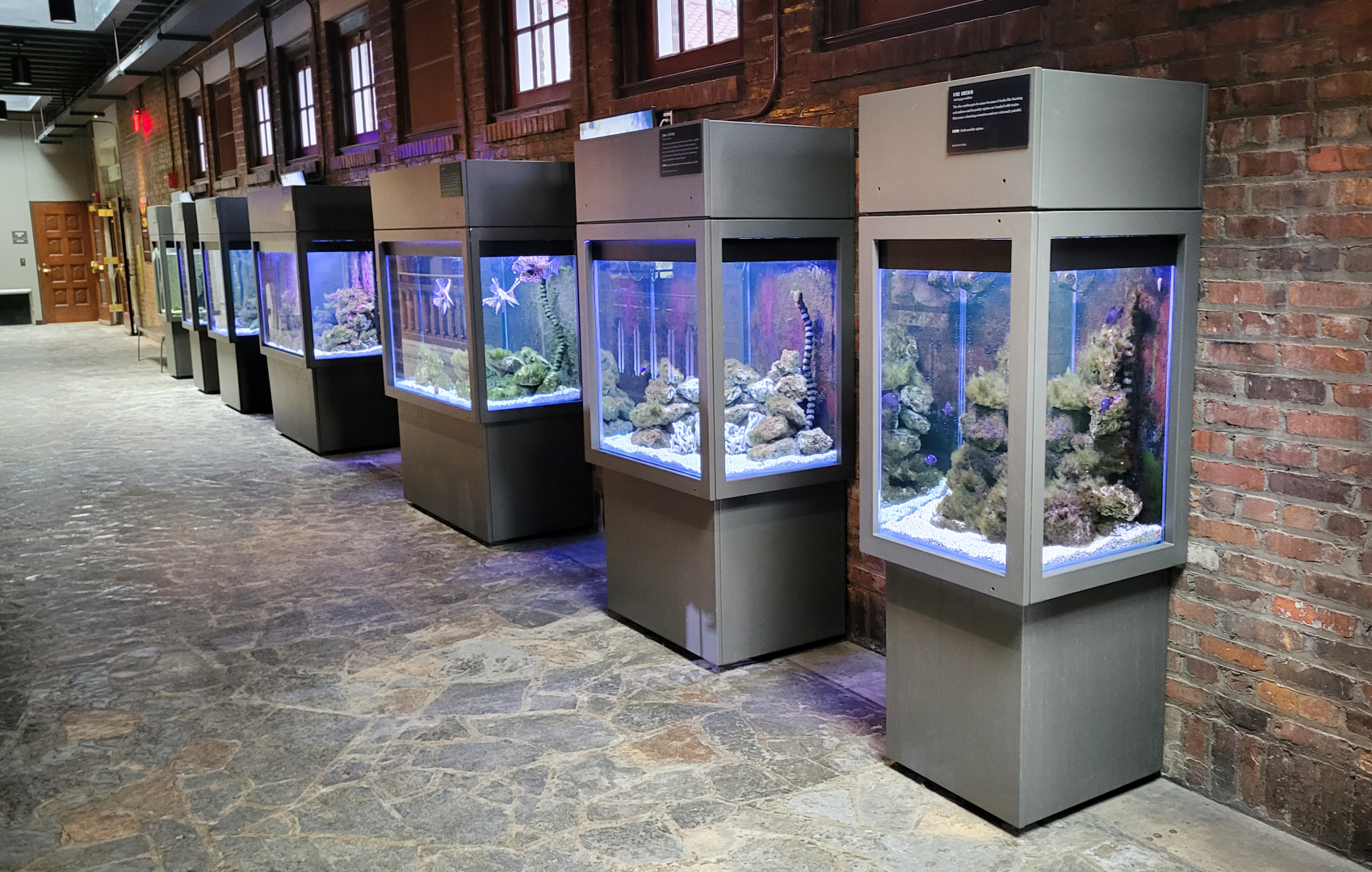 Oct. 2021 - Museum of Science - Hall of Venom - Aquatic Tanks