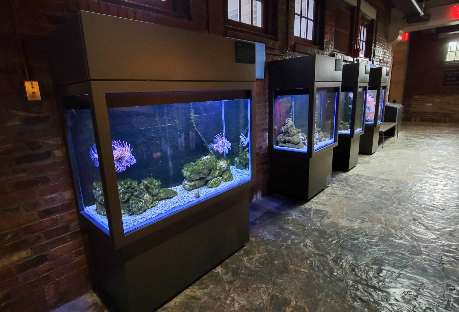 Oct. 2021 - Museum of Science - Hall of Venom - Aquatic Tanks