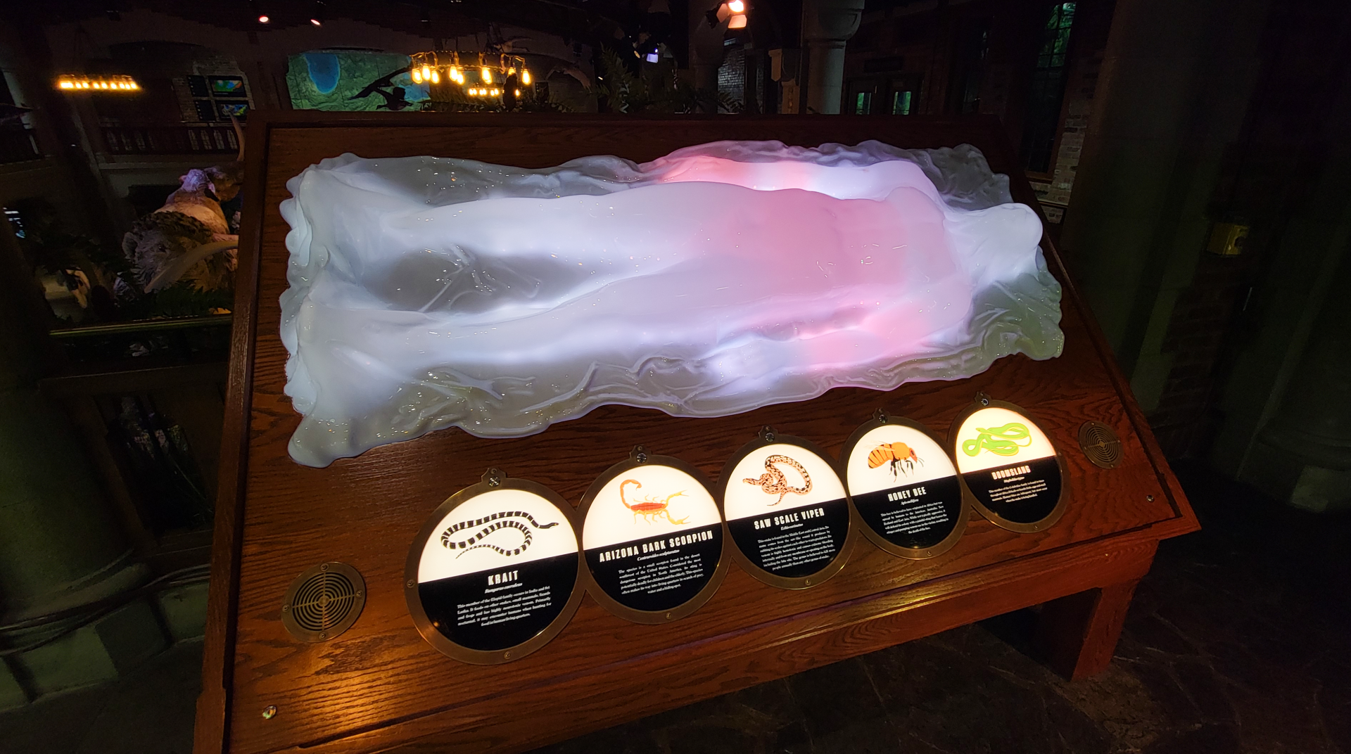 Oct. 2021 - Museum of Science - Hall of Venom - How Venom Affects the Human Body