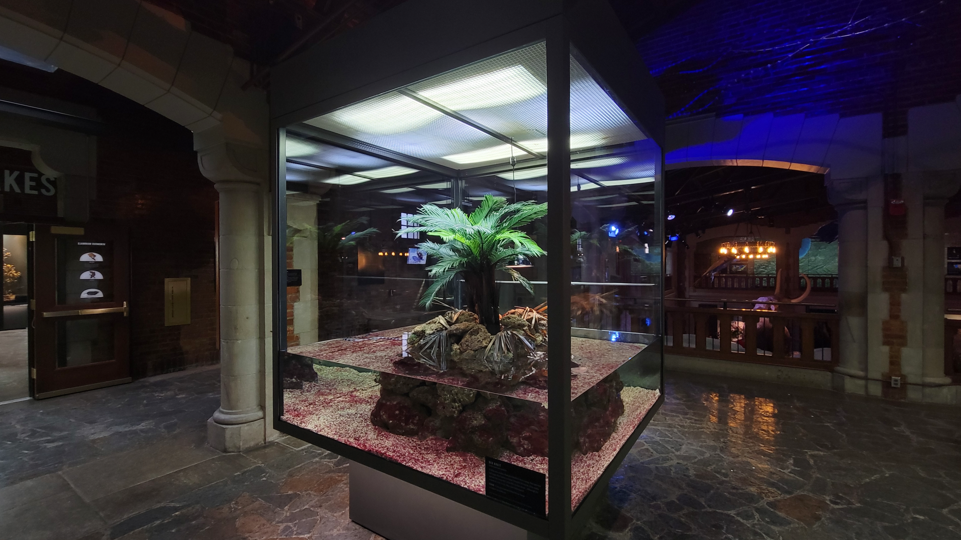 Oct. 2021 - Museum of Science - Hall of Venom - Yellow-lipped Sea Krait Exhibit