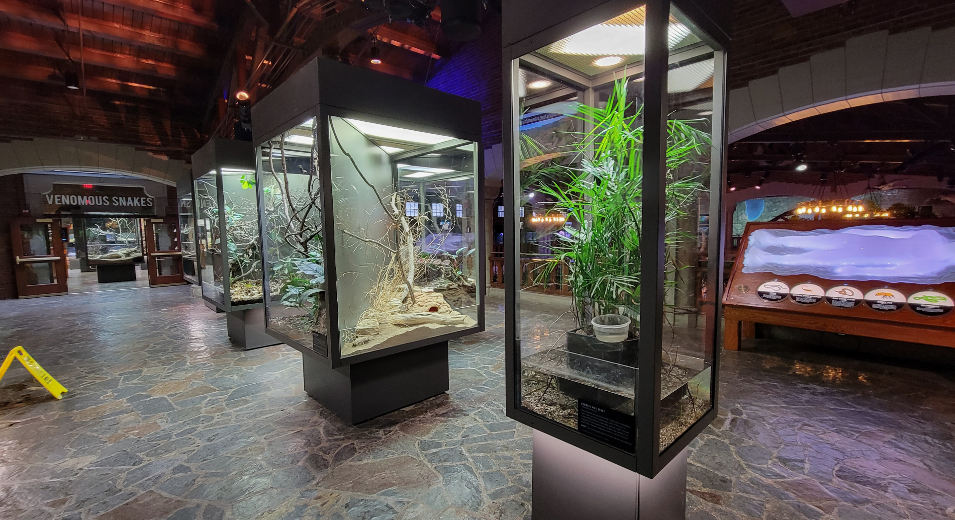 Oct. 2021 - Museum of Science - Hall of Venom