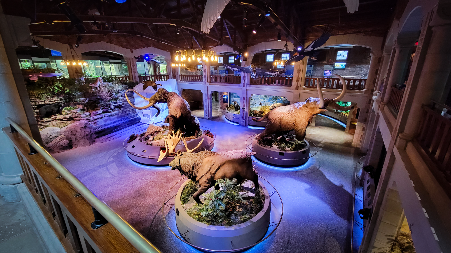 Oct. 2021 - Museum of Science - Ohio: After the Ice (From Above)
