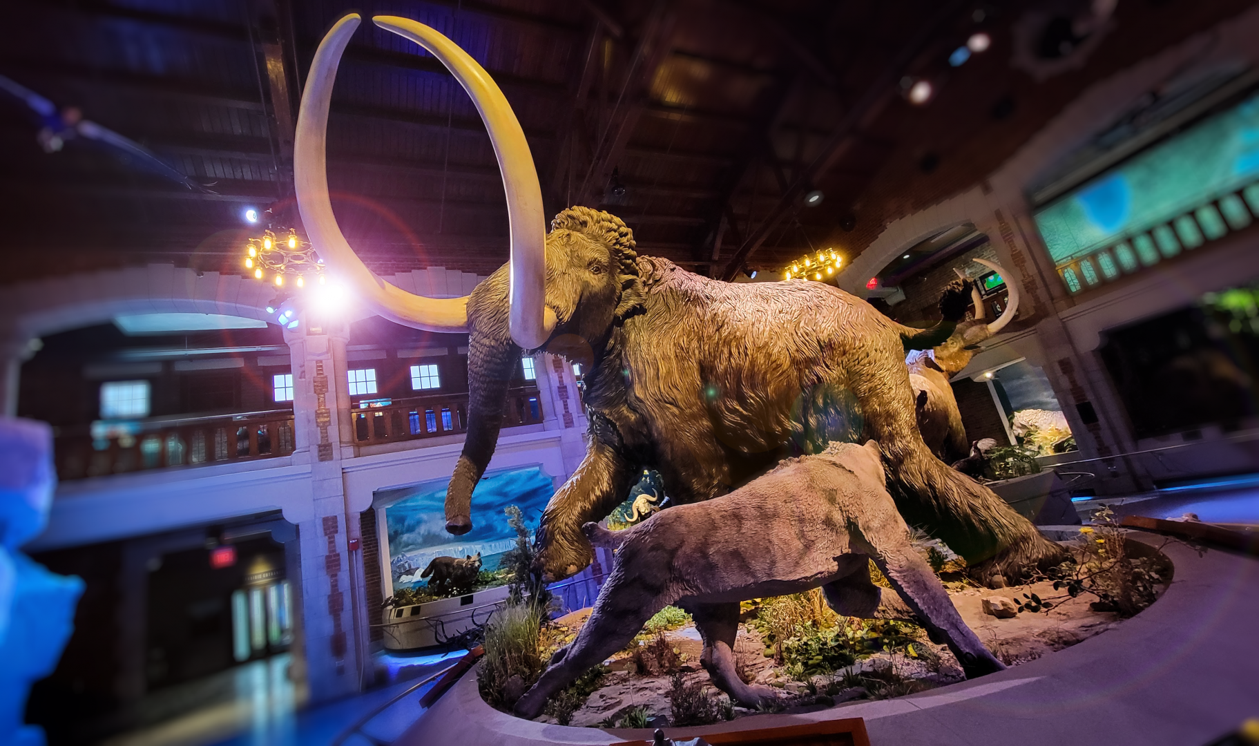Oct. 2021 - Museum of Science - Ohio: After the Ice: Mammoth + Saber-toothed Cat Display