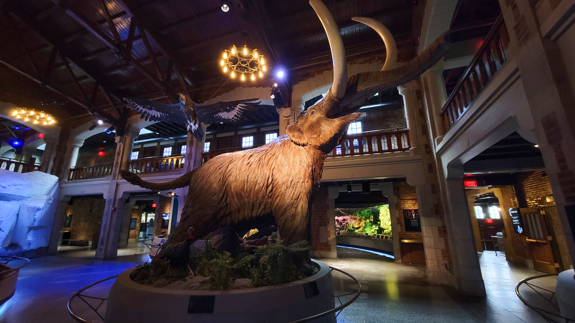 Oct. 2021 - Museum of Science - Ohio: After the Ice - Mastodon Display