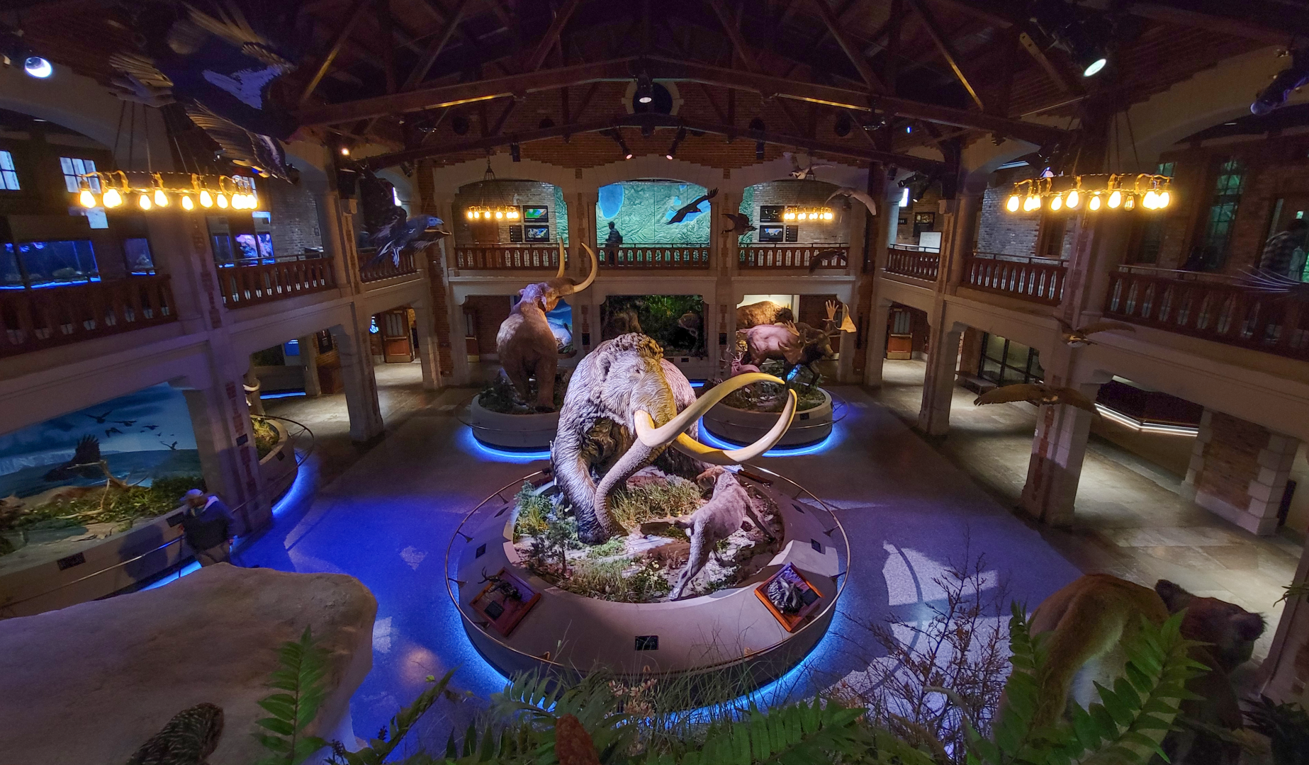 Oct. 2021 - Museum of Science - Ohio: After the Ice