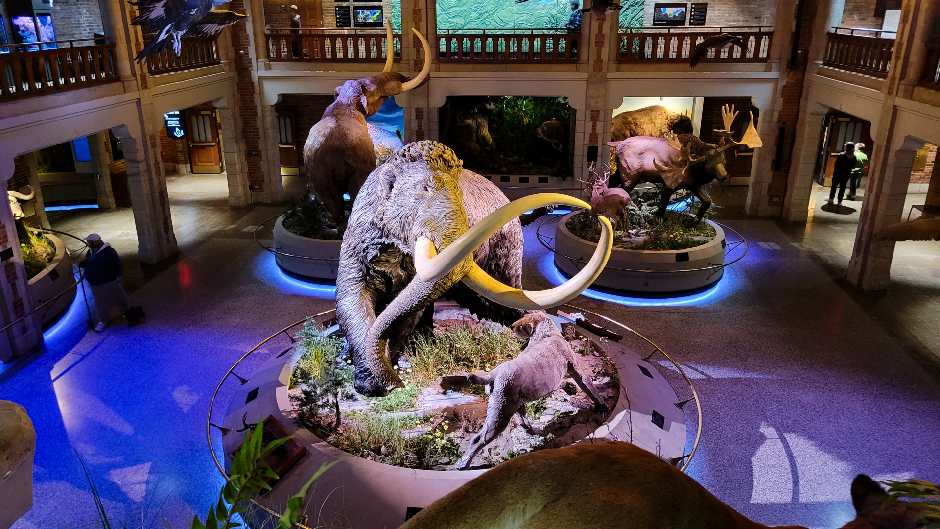 Oct. 2021 - Museum of Science - Ohio: After the Ice