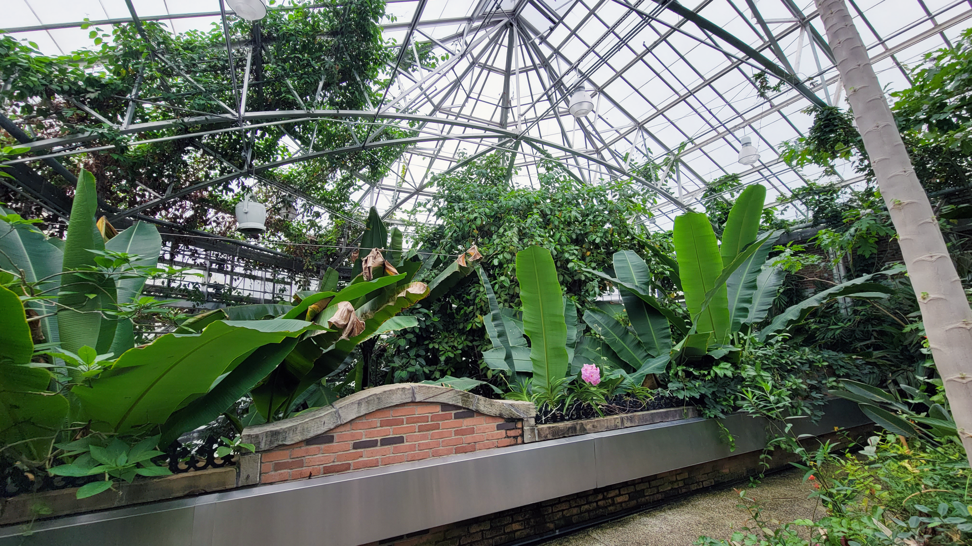 Oct. 2021 - Museum of Science - Tropics Upper Level)