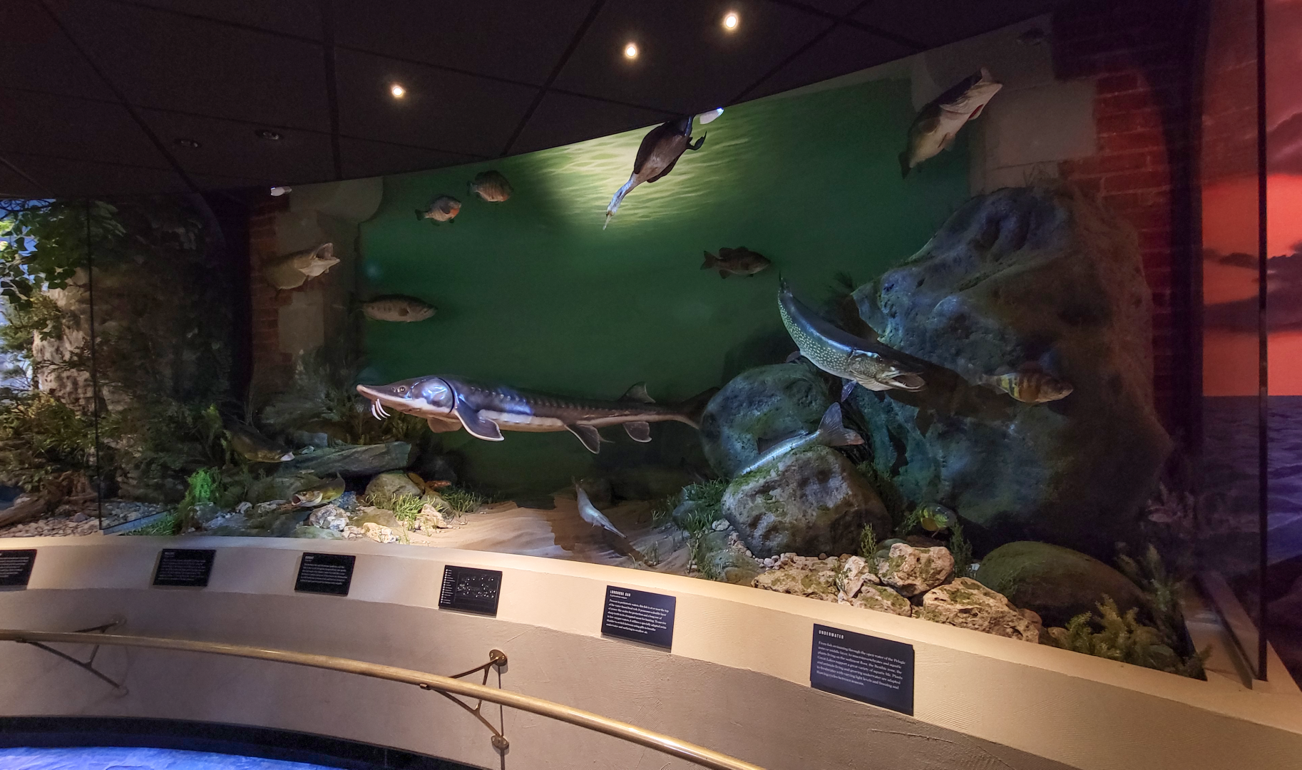 Oct. 2021 - Museum of Science - Wetlands & Lakes