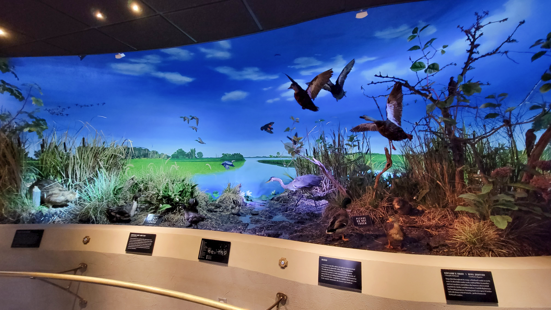 Oct. 2021 - Museum of Science - Wetlands & Lakes