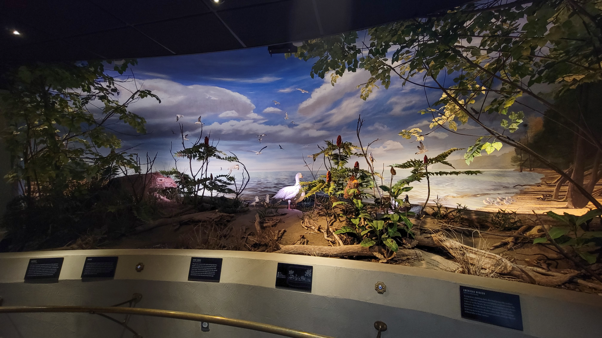 Oct. 2021 - Museum of Science - Wetlands & Lakes