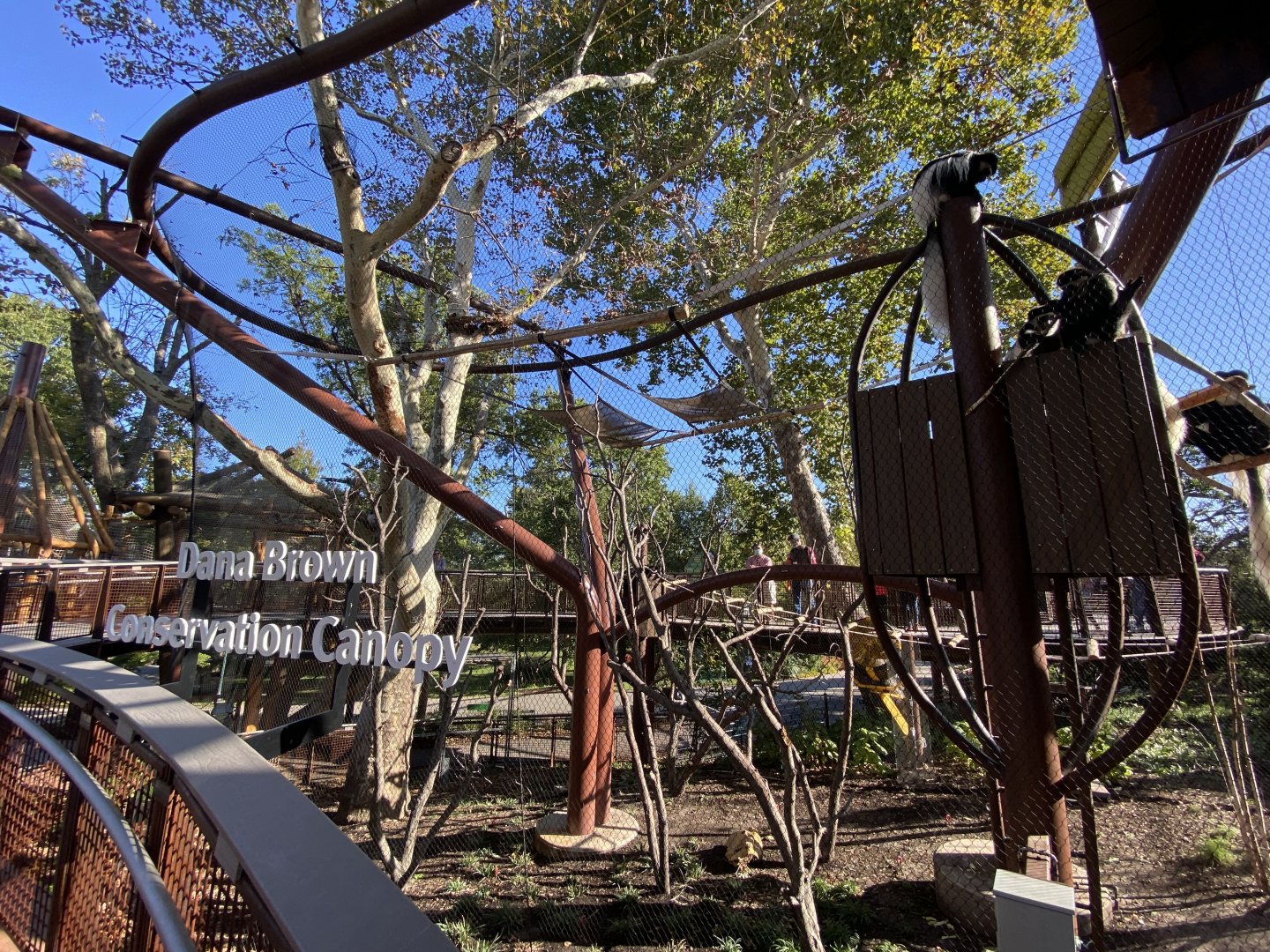 Oct. 2021 - New! Primate Canopy Trails - Conservation Canopy (Colobus)