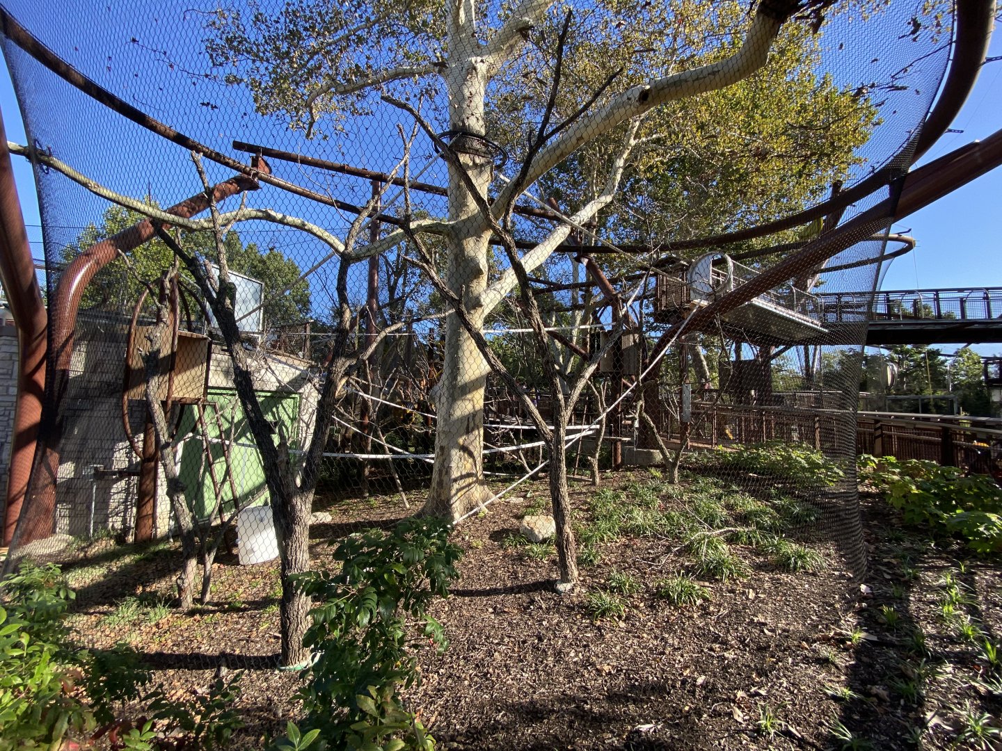 Oct. 2021 - New! Primate Canopy Trails - Sycamore Sanctuary (Empty)
