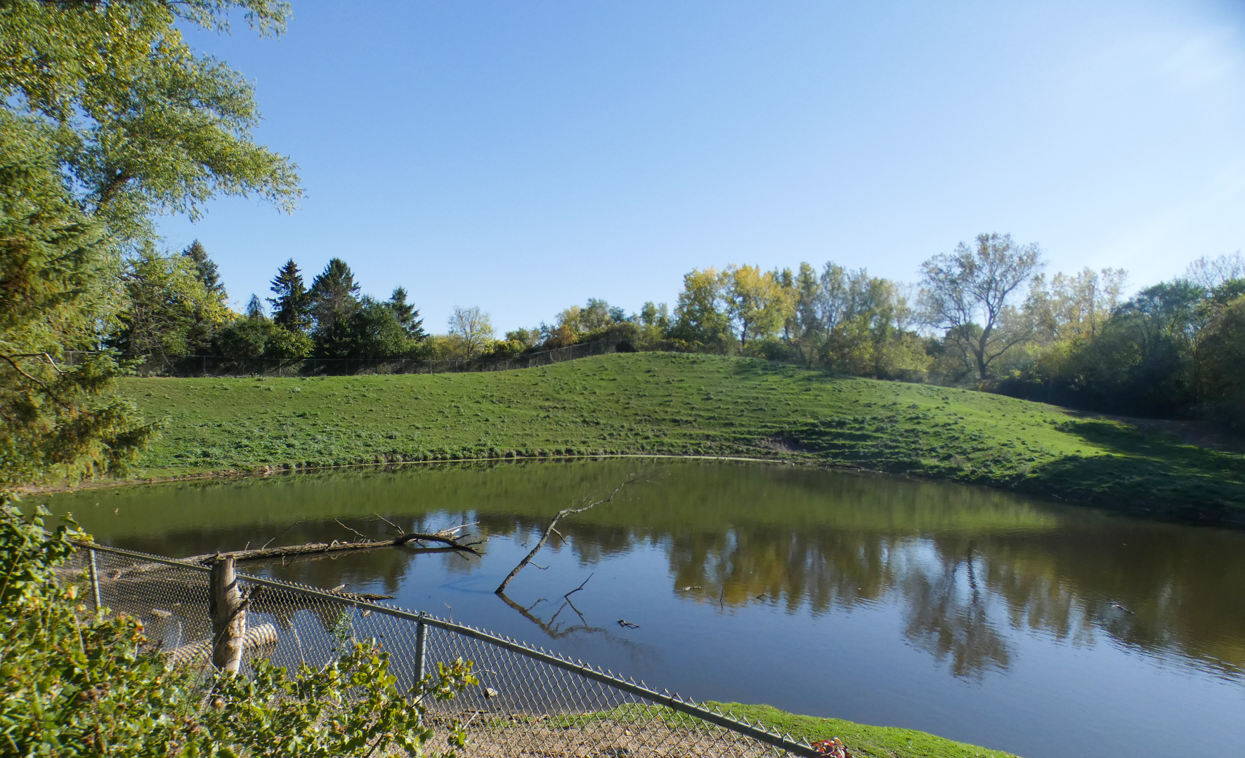 Oct. 2021 - Northern Trail - American Bison Exhibit (Half of It)