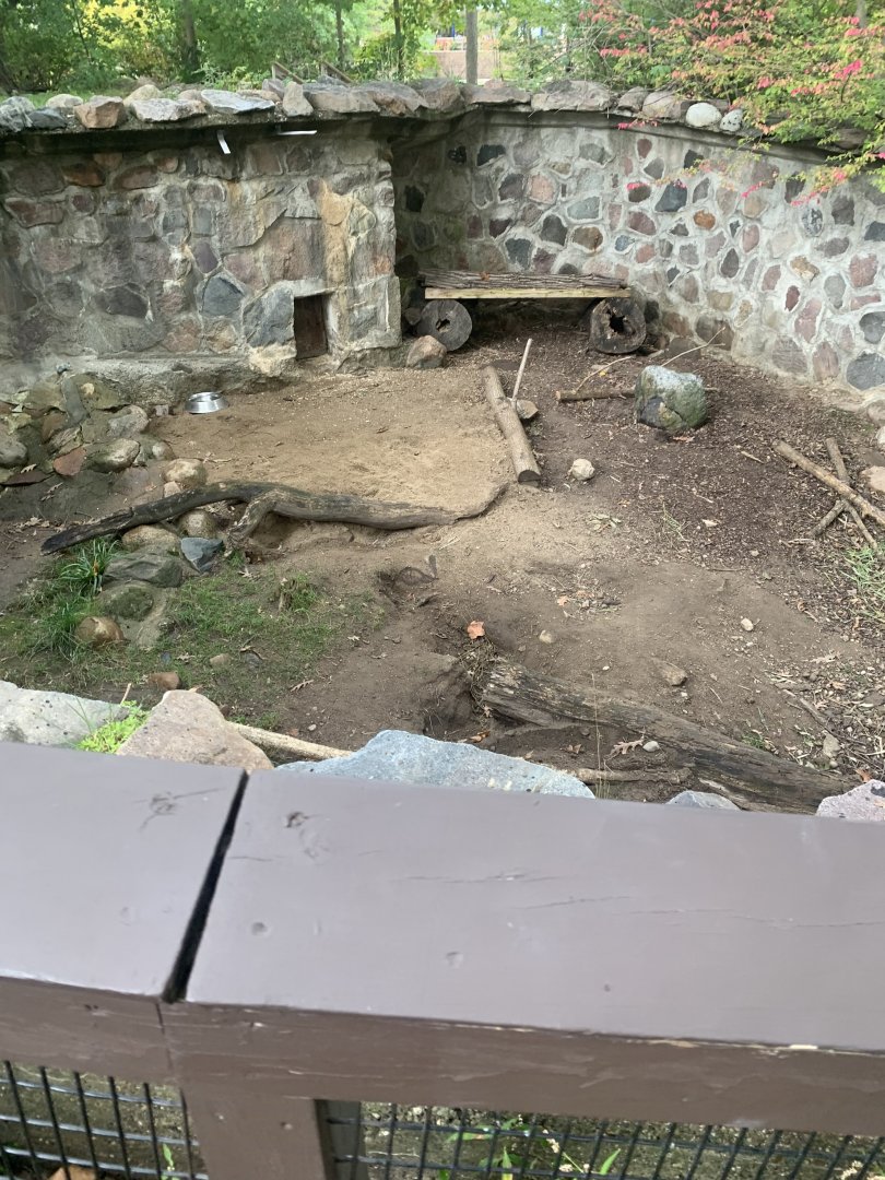 Oct. 2021- Part of Crested porcupine exhibit