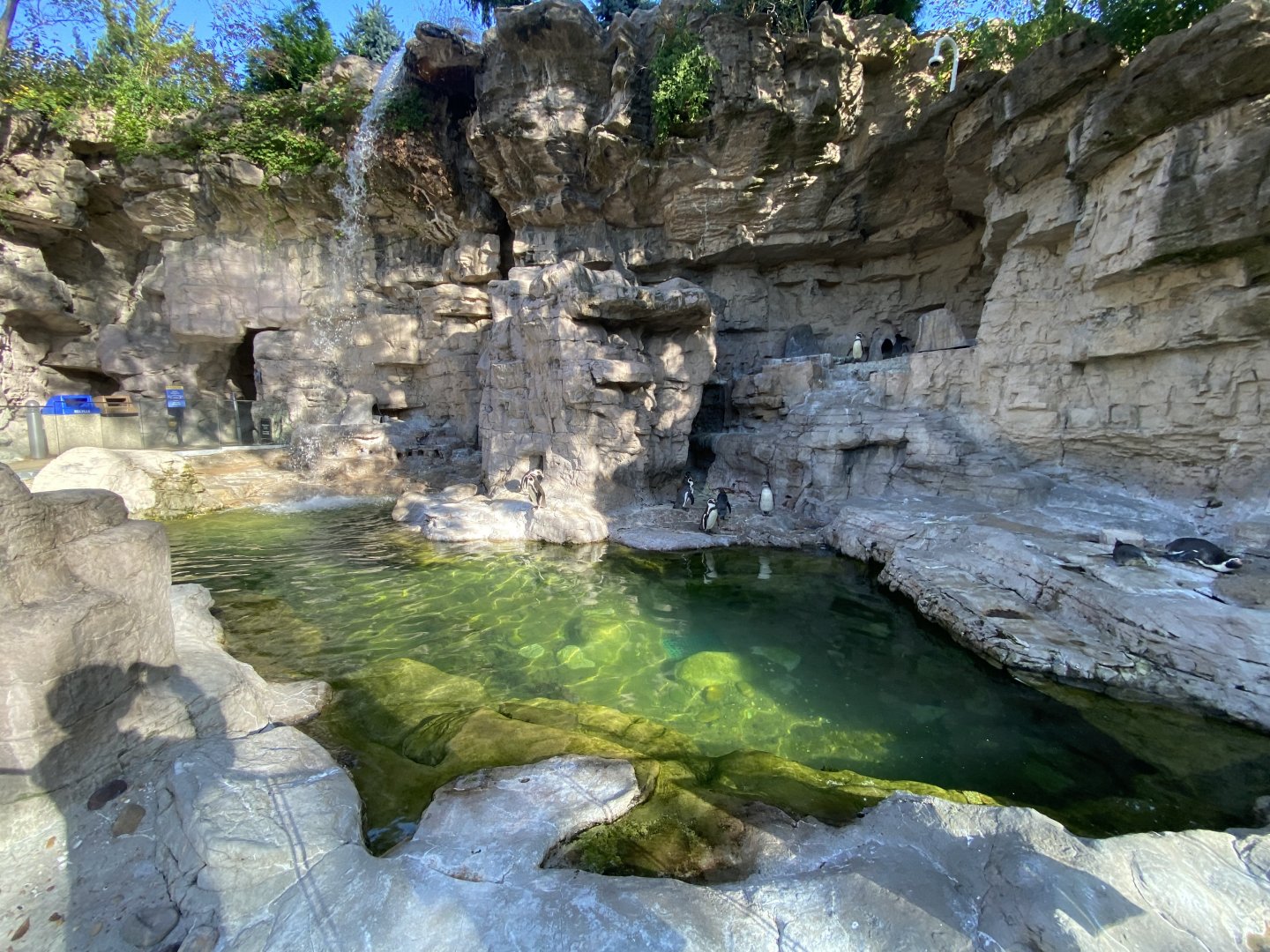 Oct. 2021 - Penguin & Puffin Coast - Humboldt Haven