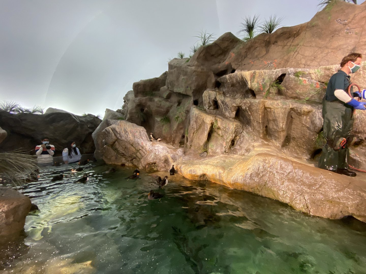 Oct. 2021 - Penguin & Puffin Coast - Puffin Bay