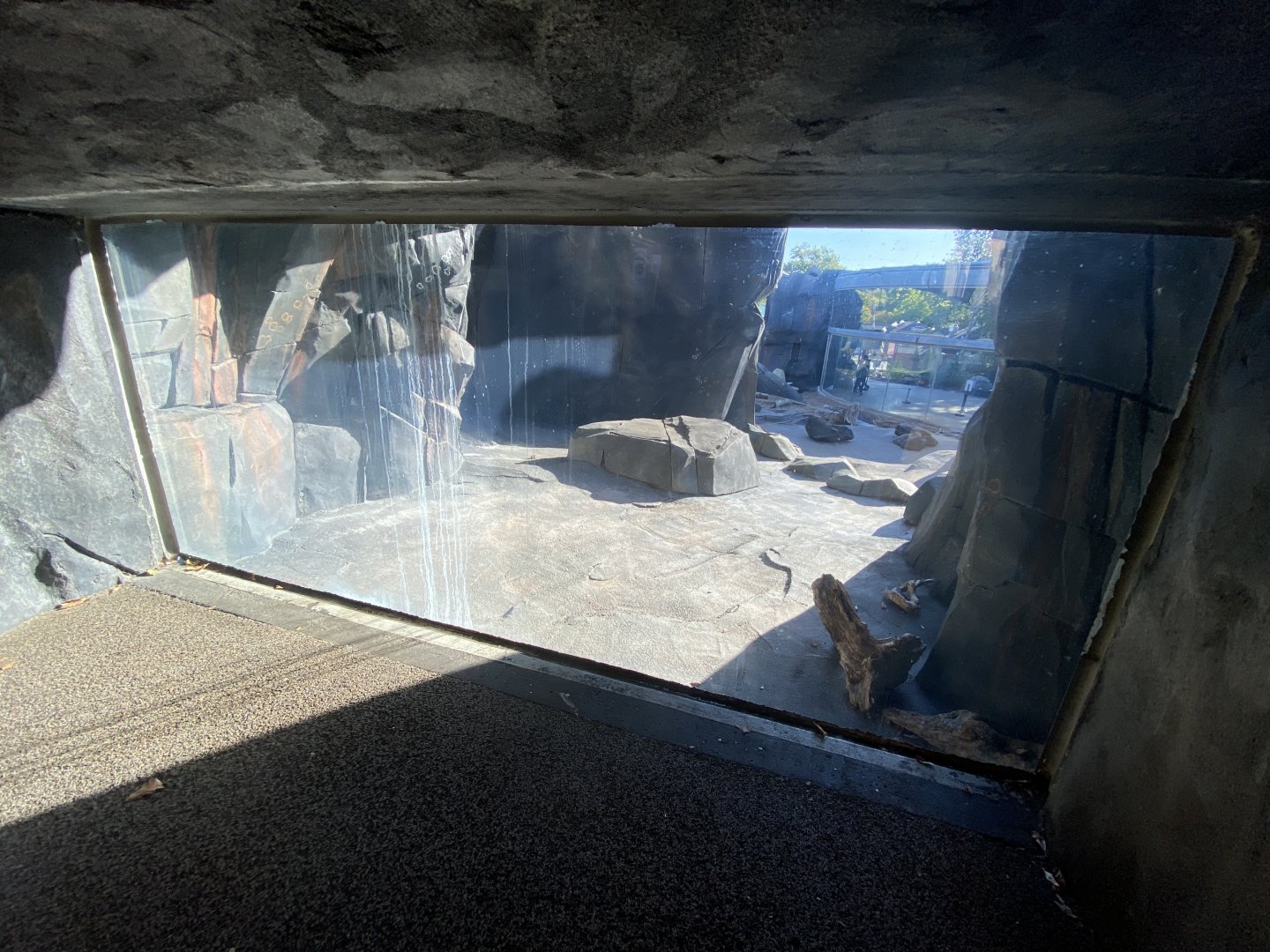 Oct. 2021 - Polar Bear Point - Cave View