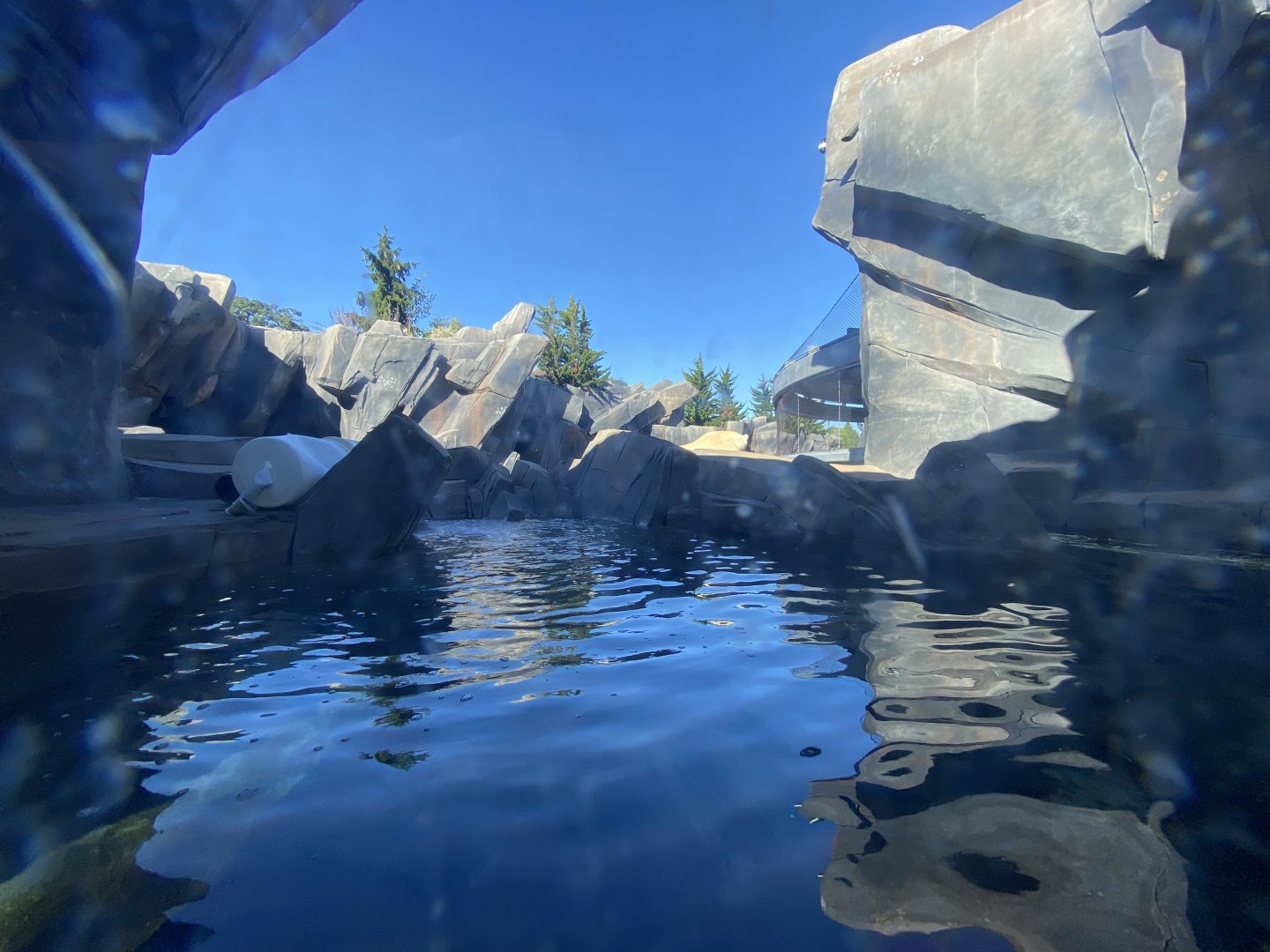 Oct. 2021 - Polar Bear Point