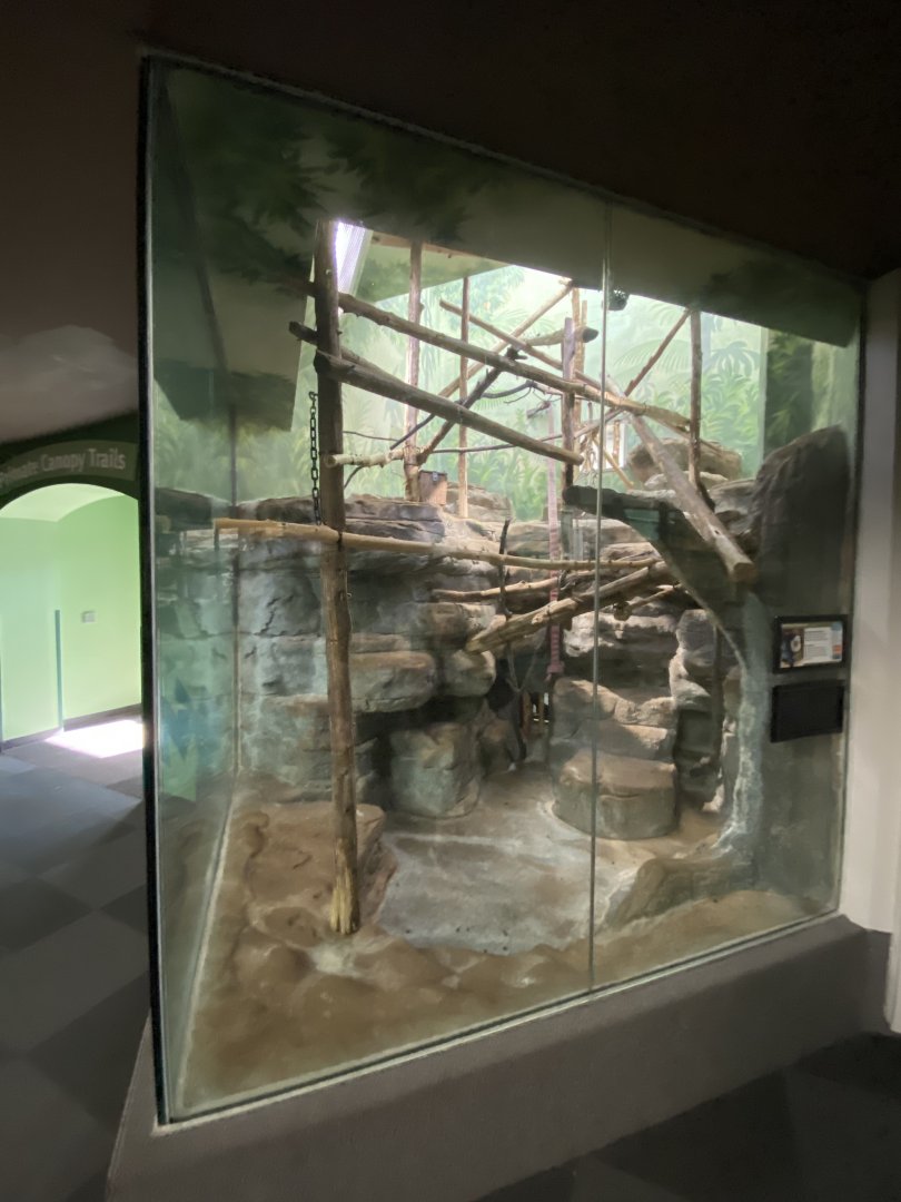 Oct. 2021 - Primate House - Geoffrey’s Marmoset Exhibit