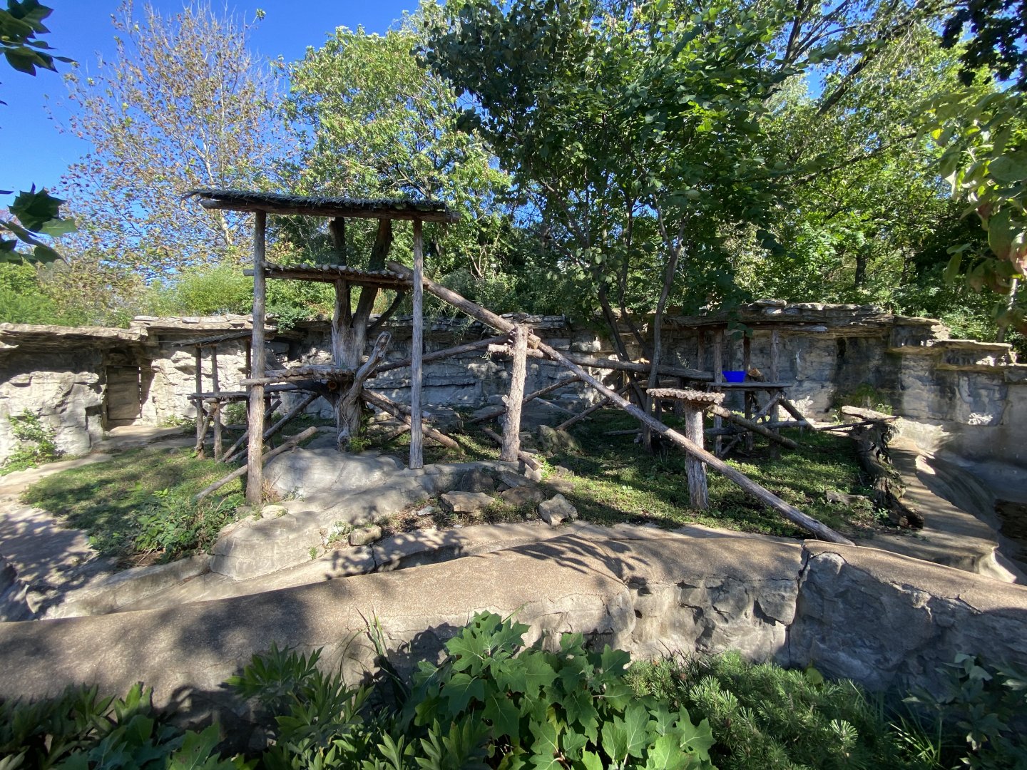 Oct. 2021 - Red Panda Exhibit