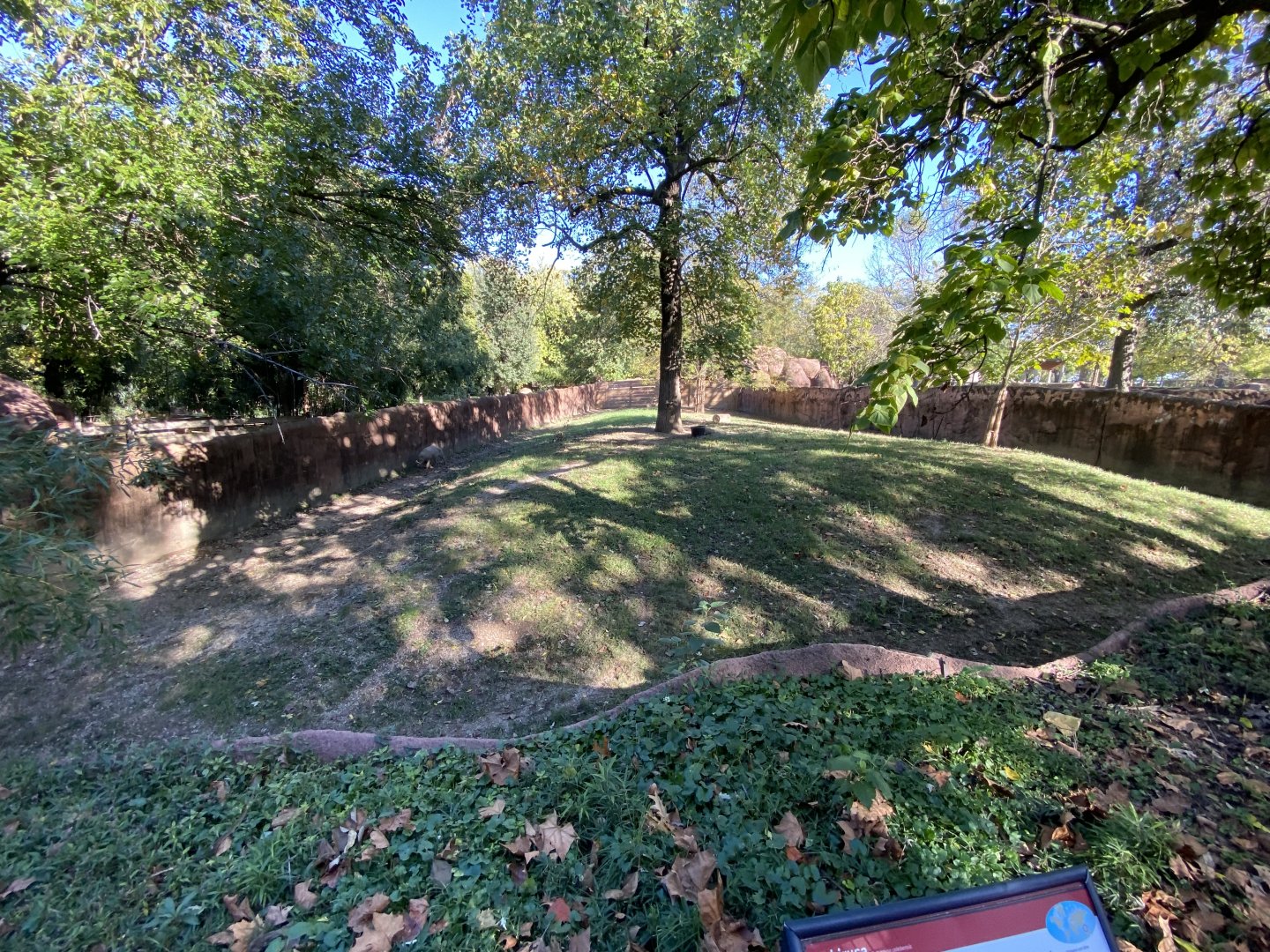 Oct. 2021 - Red Rocks - Antelope Yards - Babirusa Exhibit