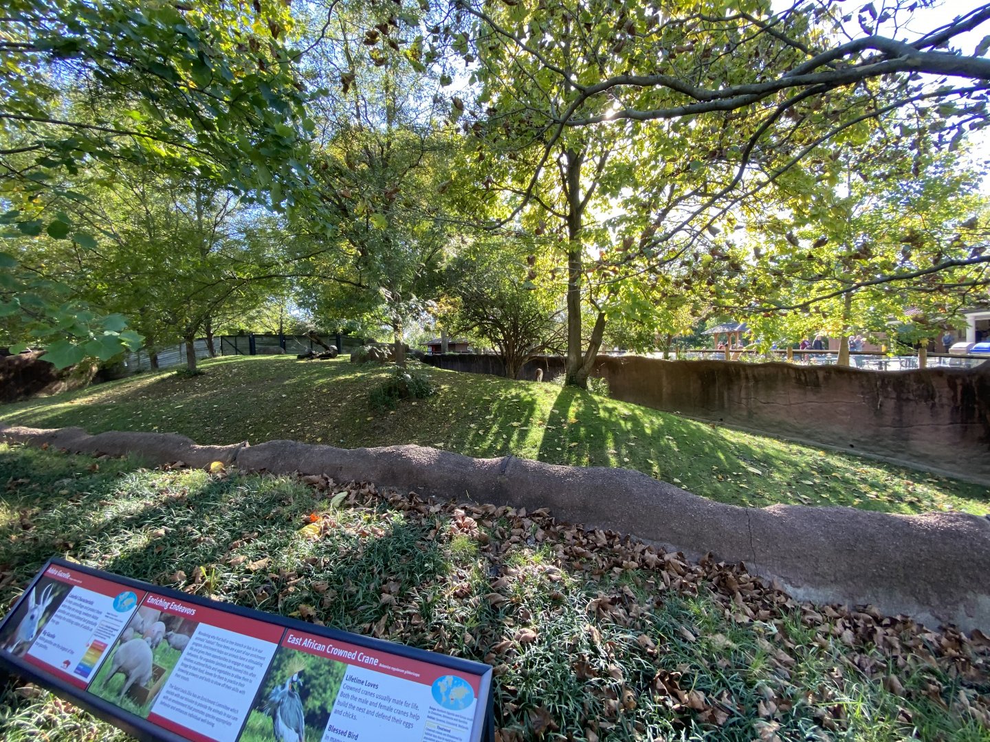Oct. 2021 - Red Rocks - Antelope Yards - Dama Gazelle/East African Crowned Crane Exhibit