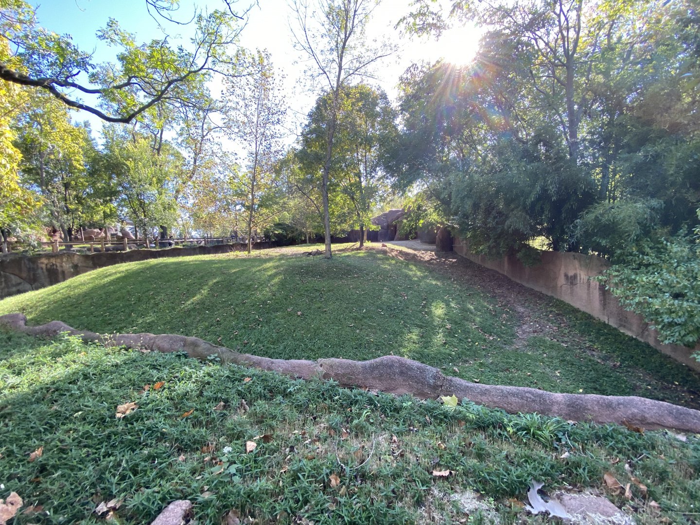 Oct. 2021 - Red Rocks - Antelope Yards - Soemmerring’s Gazelle Exhibit