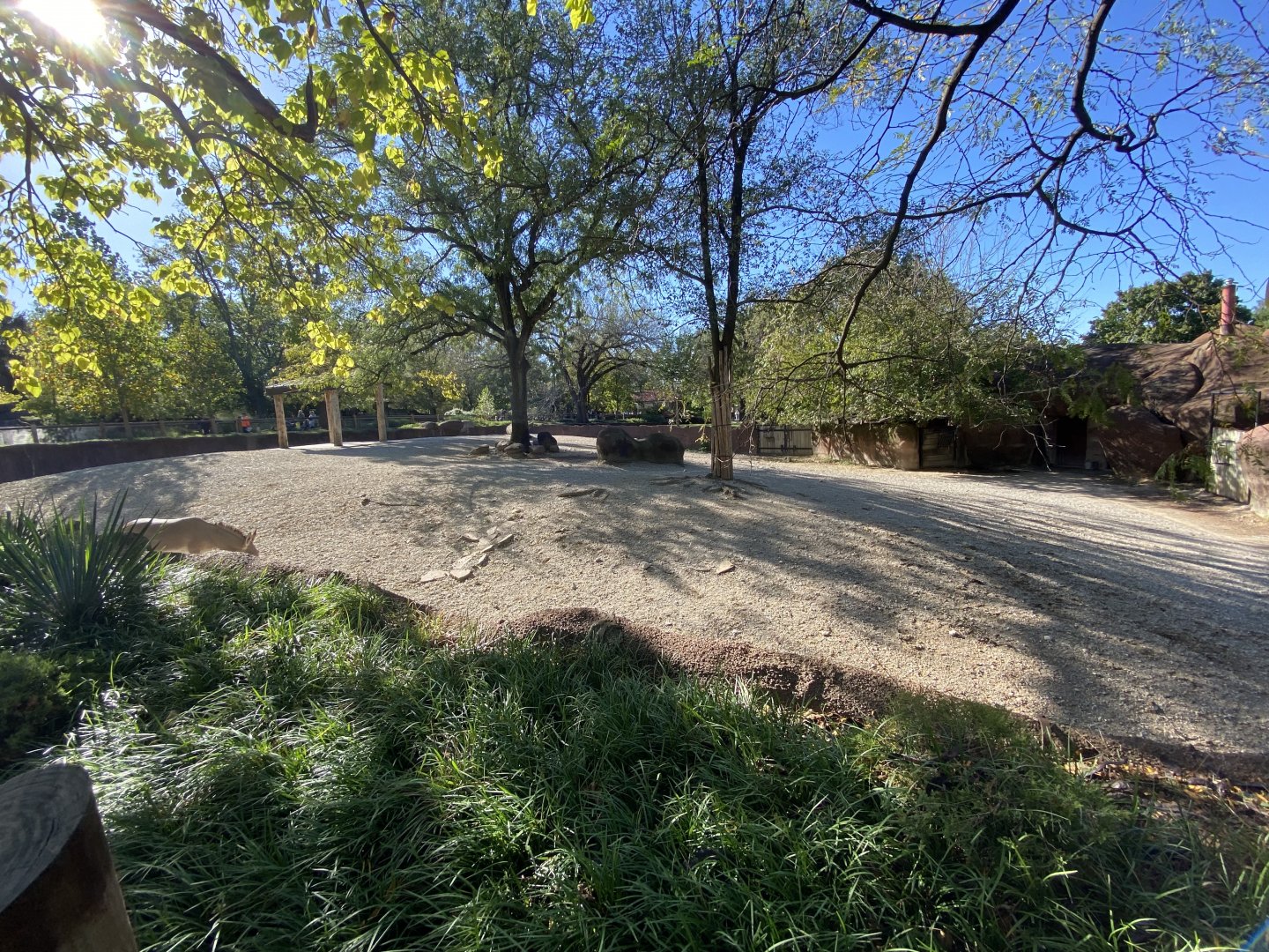 Oct. 2021 - Red Rocks - Antelope Yards - Somali Wild Ass Exhibit