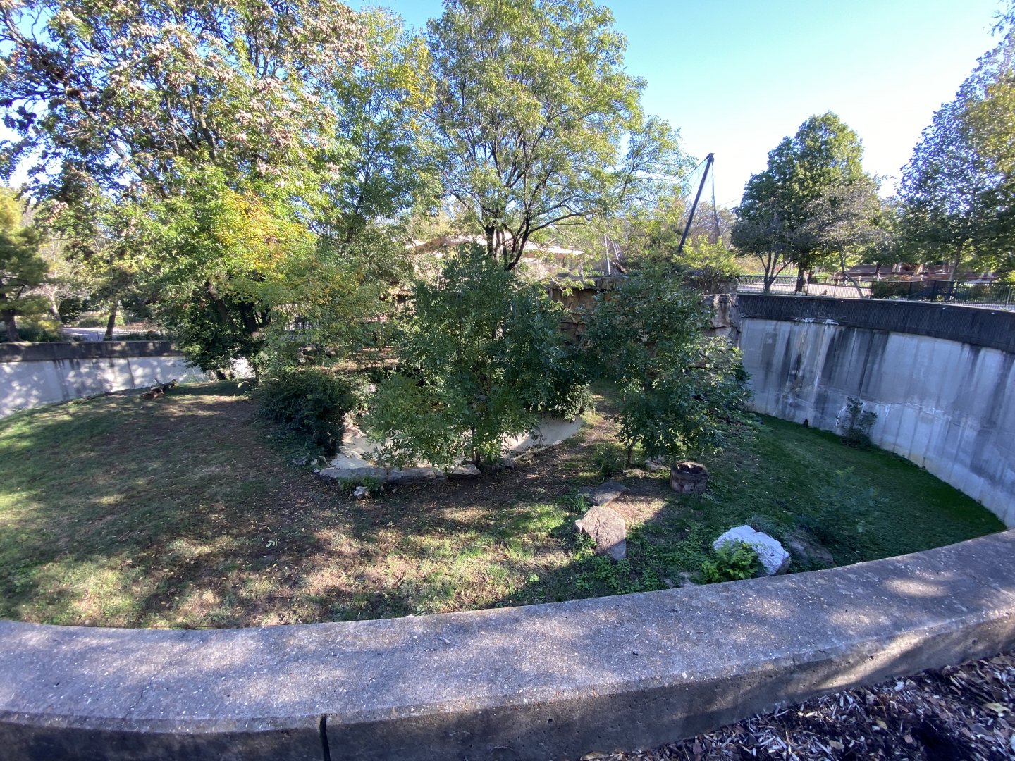 Oct. 2021 - Red Rocks - Big Cat Country - Lion Exhibit