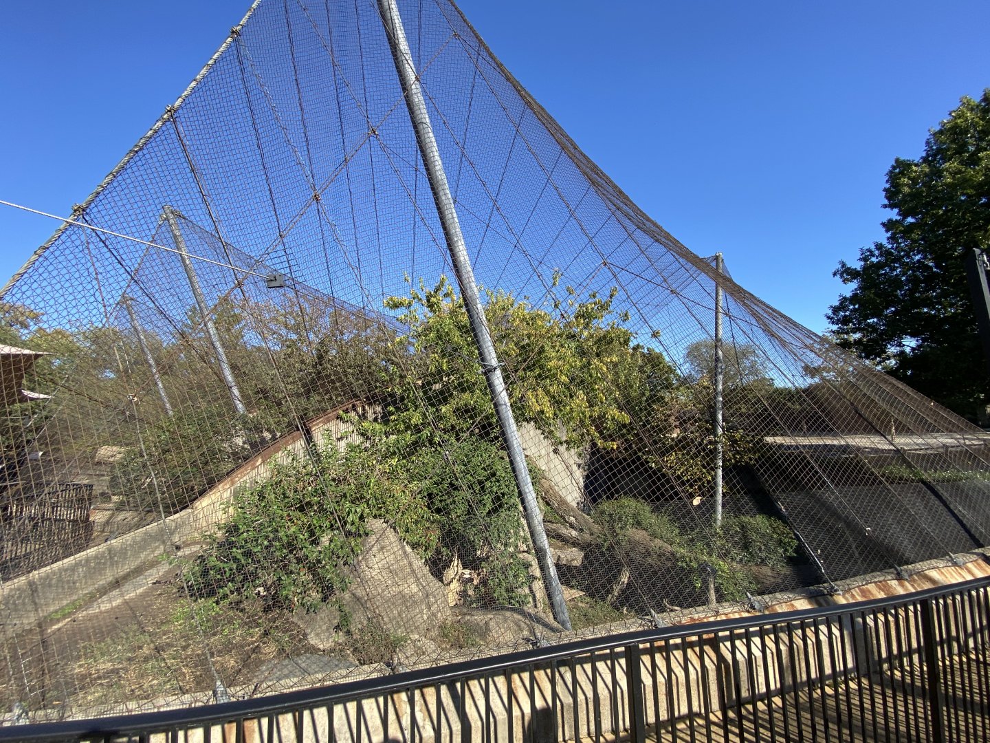 Oct. 2021 - Red Rocks - Big Cat Country - Snow Leopard Exhibit