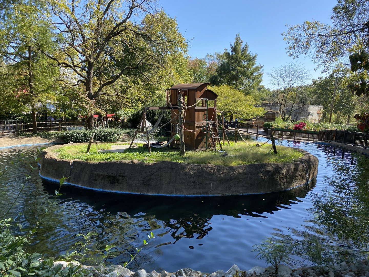 Oct. 2021 - Ring-tailed Lemur Exhibit