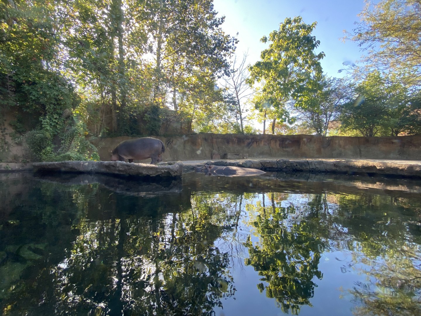 Oct. 2021 - River’s Edge - Africa - Hippo Harbor