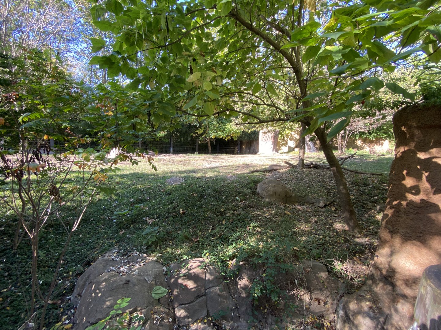 Oct. 2021 - River’s Edge - Africa - Rhino Reserve (Black Rhinos & Sacred Ibises