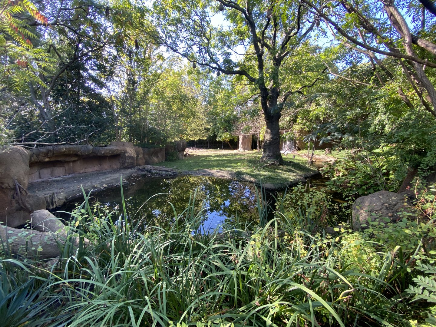 Oct. 2021 - River’s Edge - Africa - Rhino Reserve (Black Rhinos & Sacred Ibises